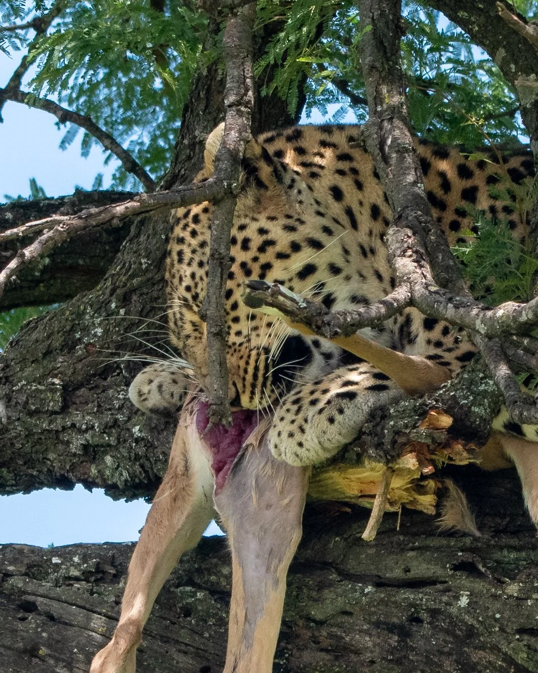 DSC_5201.jpg