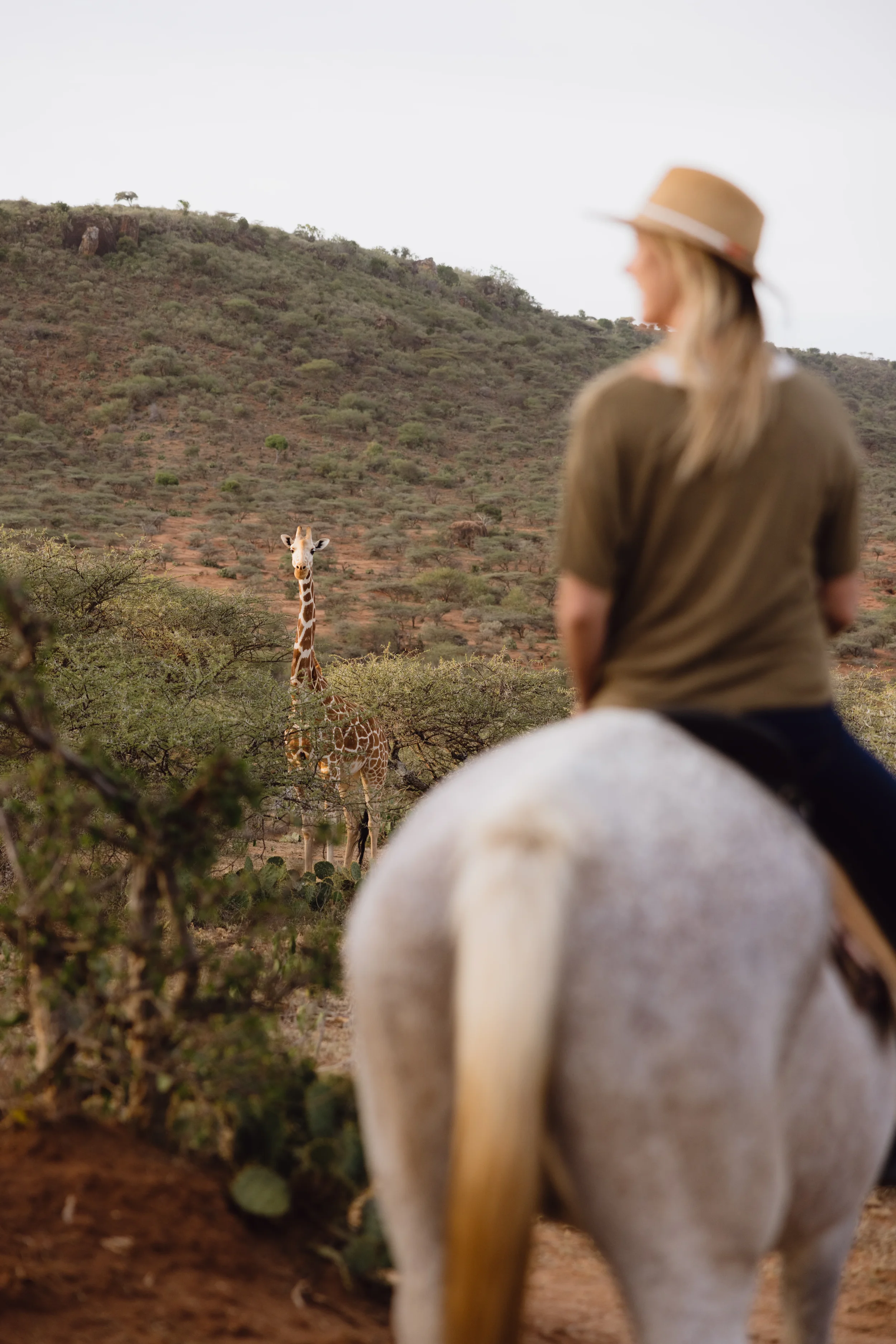 Horse-riding-wander-africa.webp