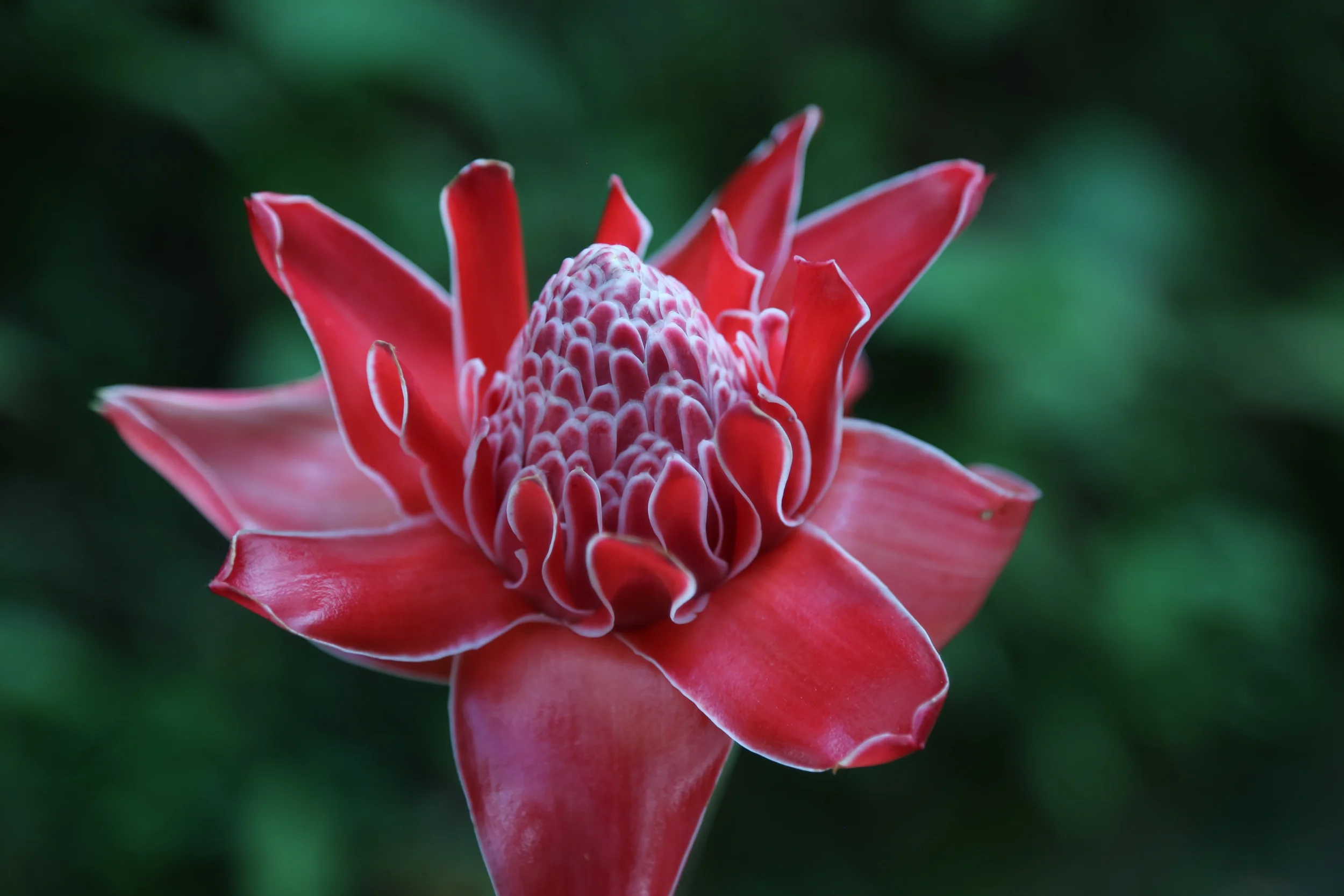 Sinal_do_Vale__High_Res53.webp