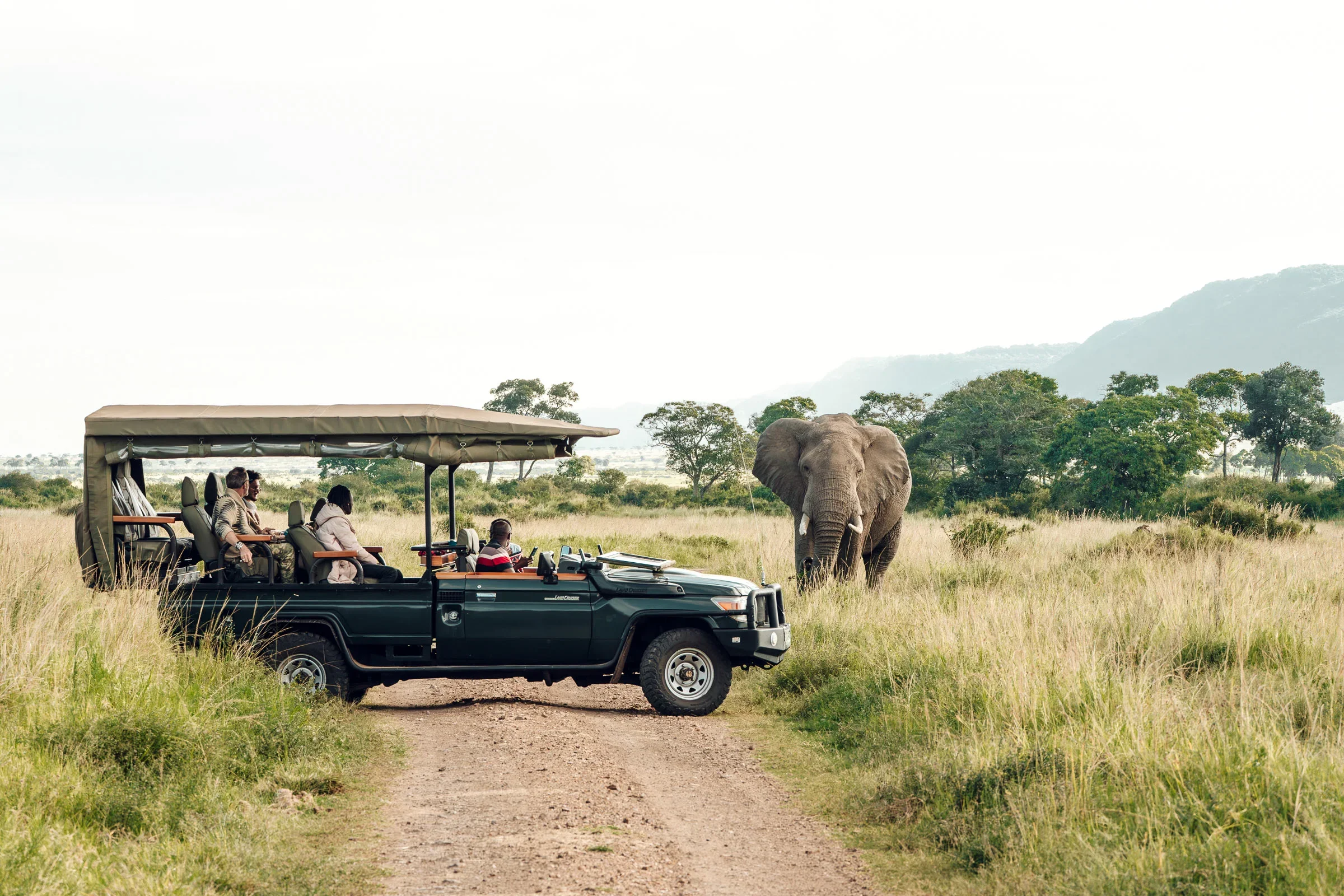 Banner-option-Elephant-by-safari-car-wander-africa-1.webp