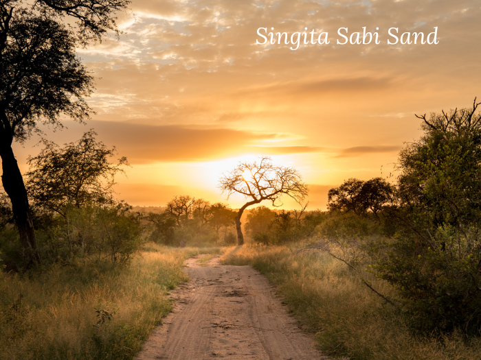 Singita Sabi Sand.png
