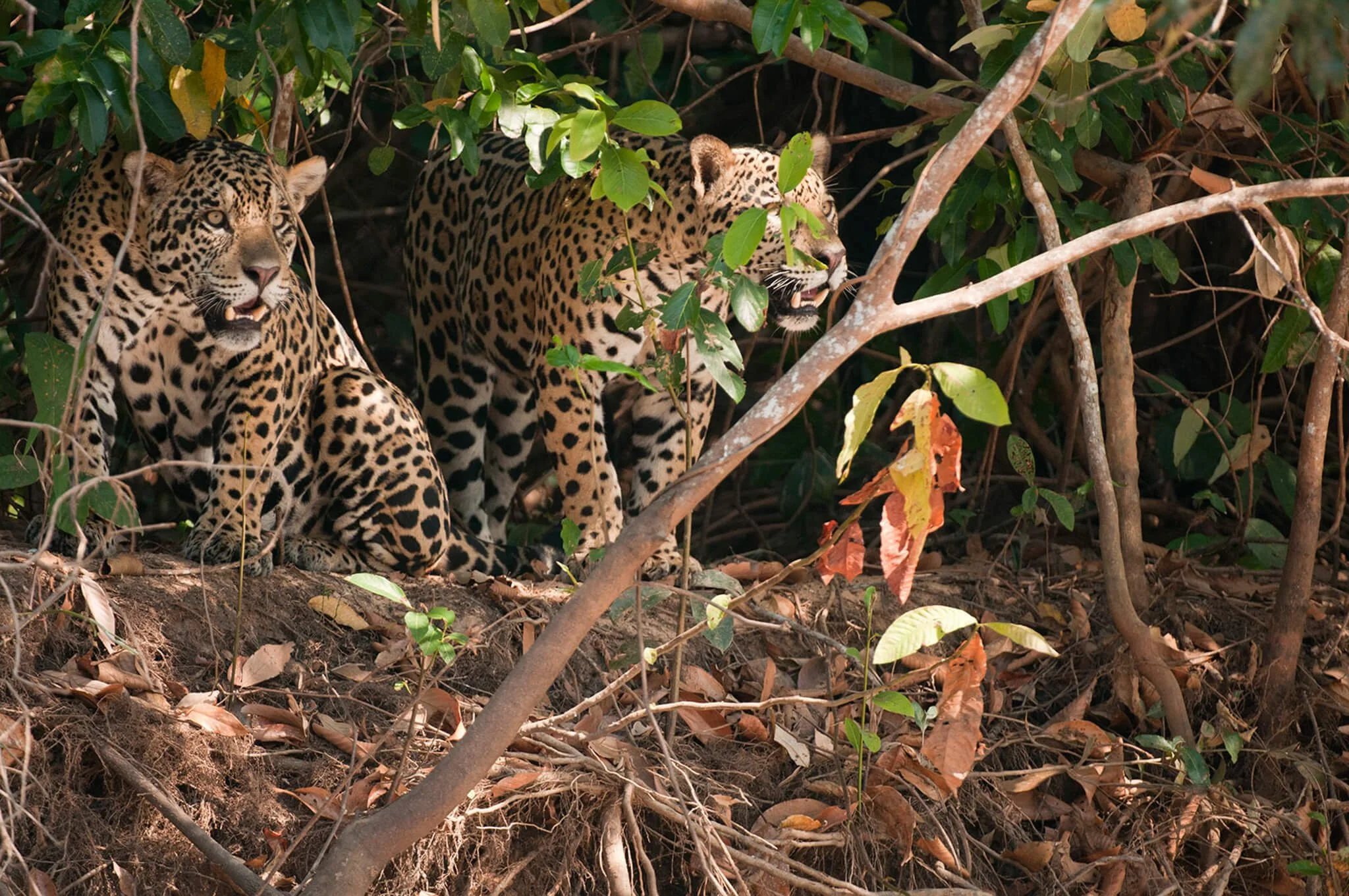 the_long_run_travel_member_Travel Differently Ltd-17.jpg