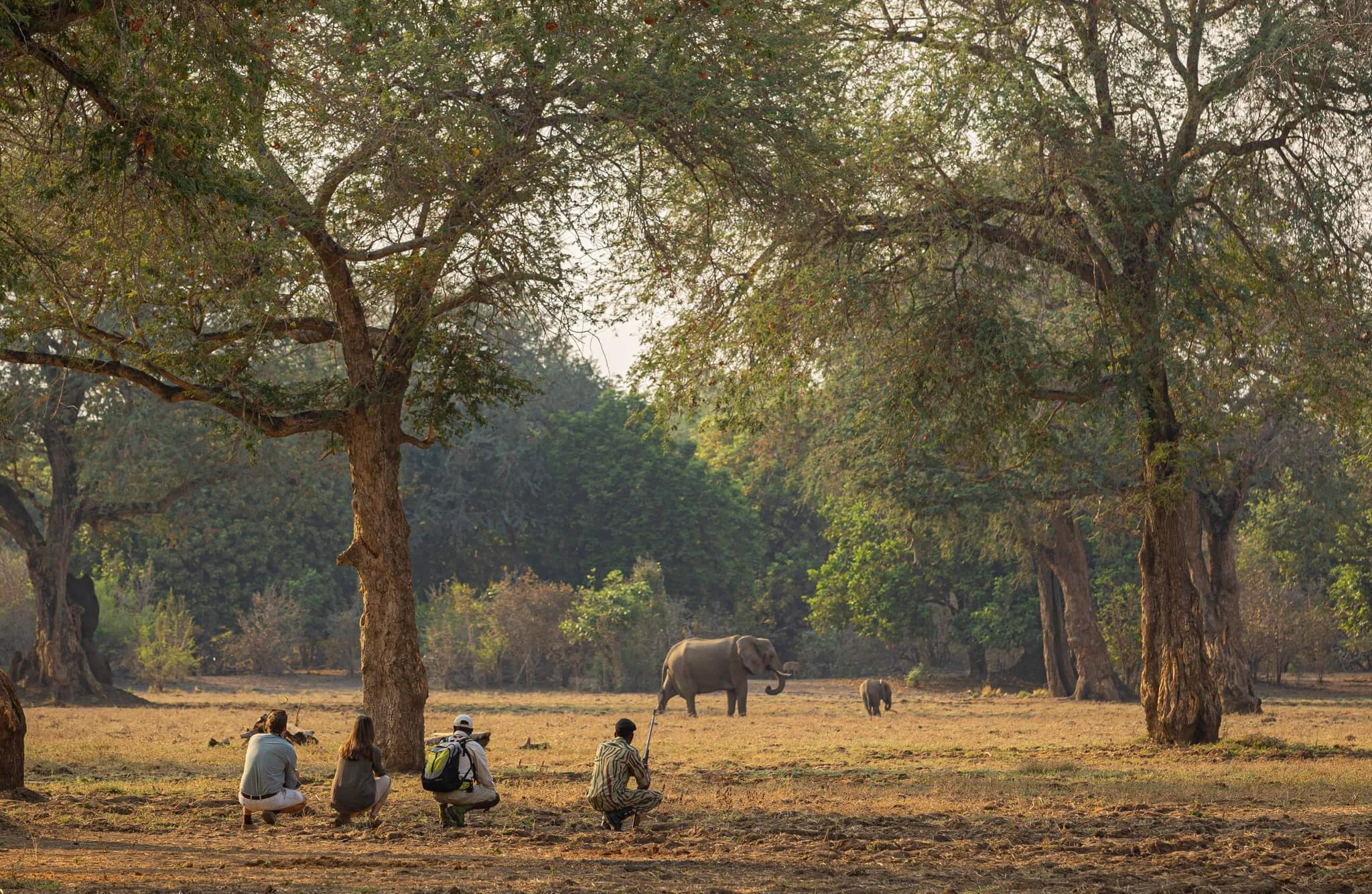 Royal Zambezi Lodge