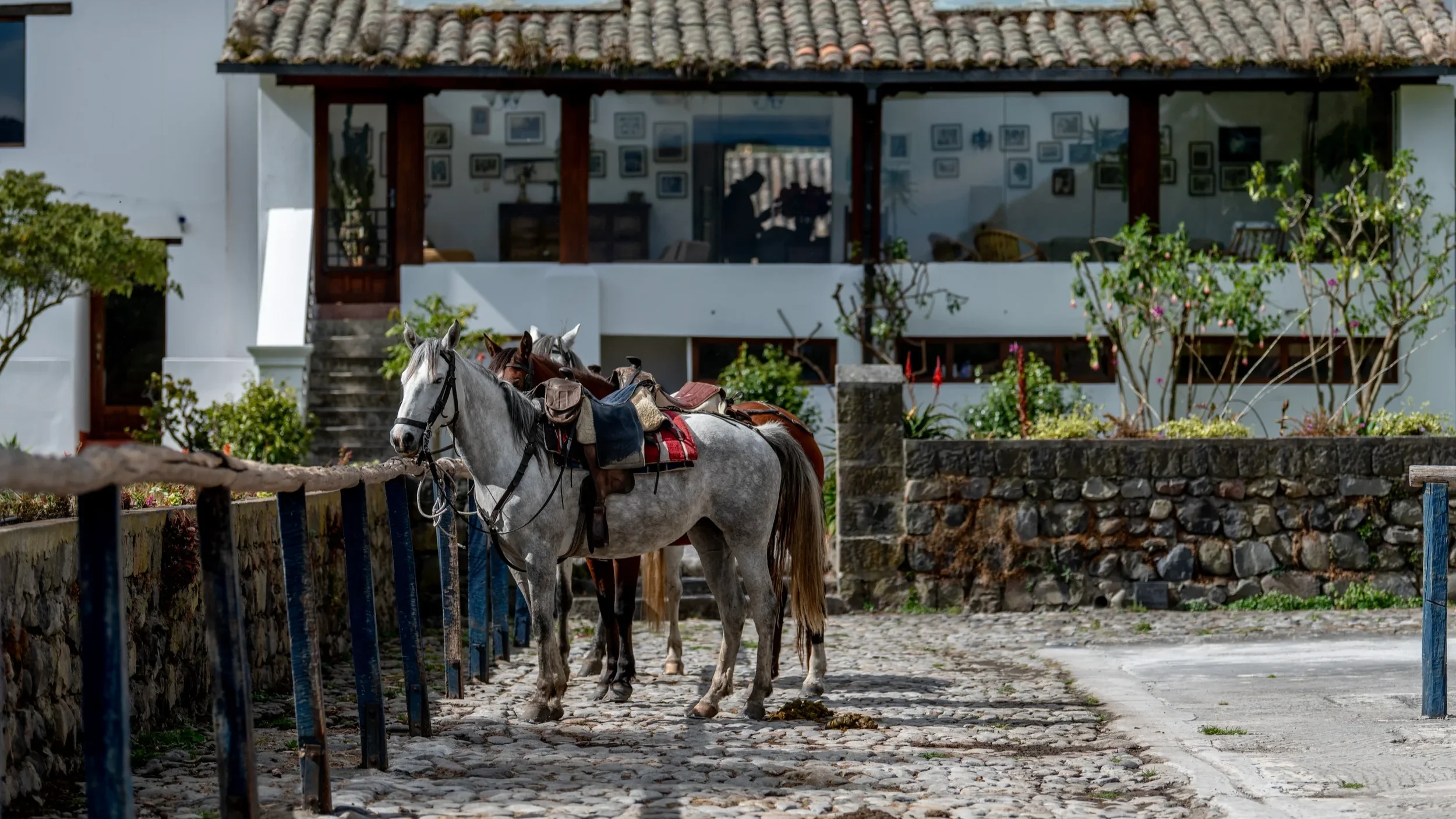 Hacienda Zuleta response to El Nino