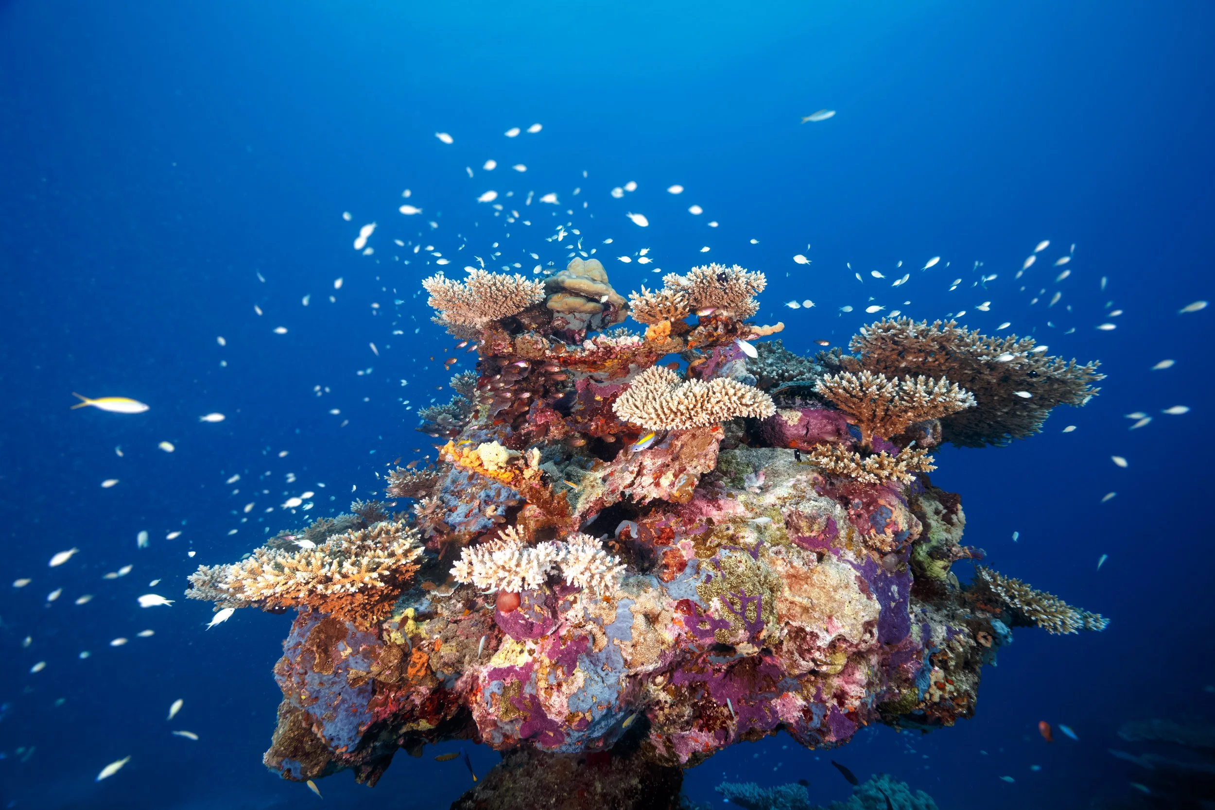 Register to Accelerate Impact