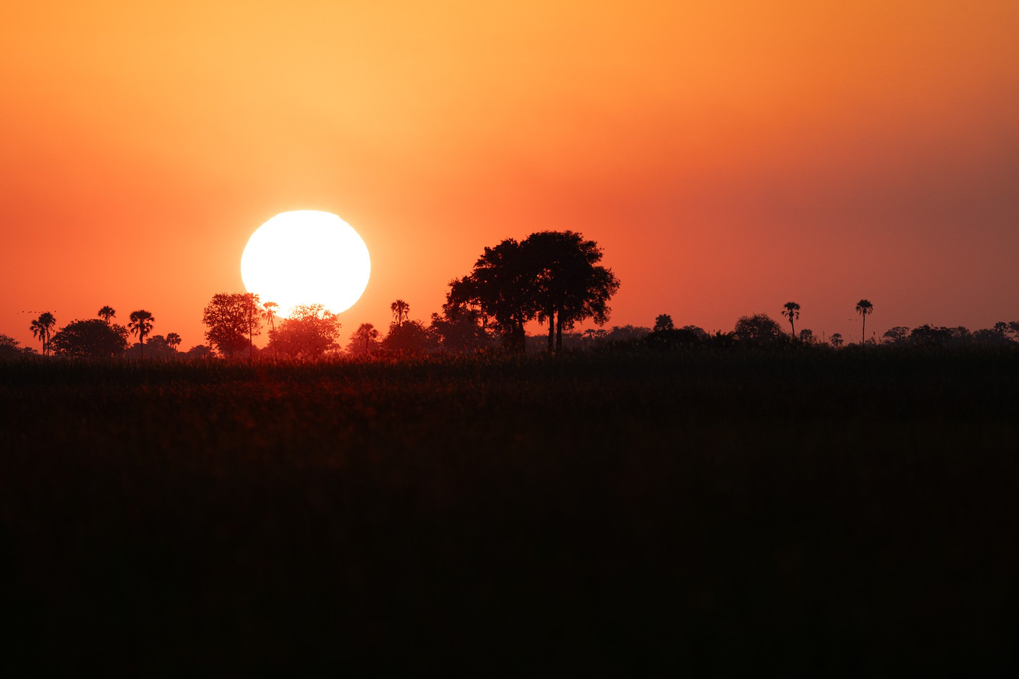 the_long_run_travel_companies_Anderson Expeditions_Sunset.jpg