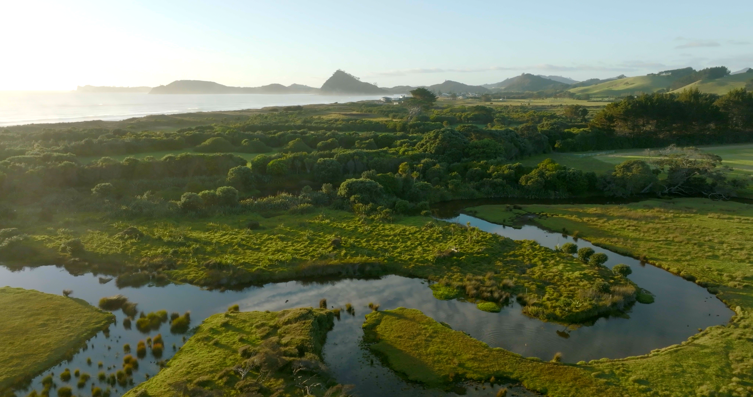 1. Tahi the place.png