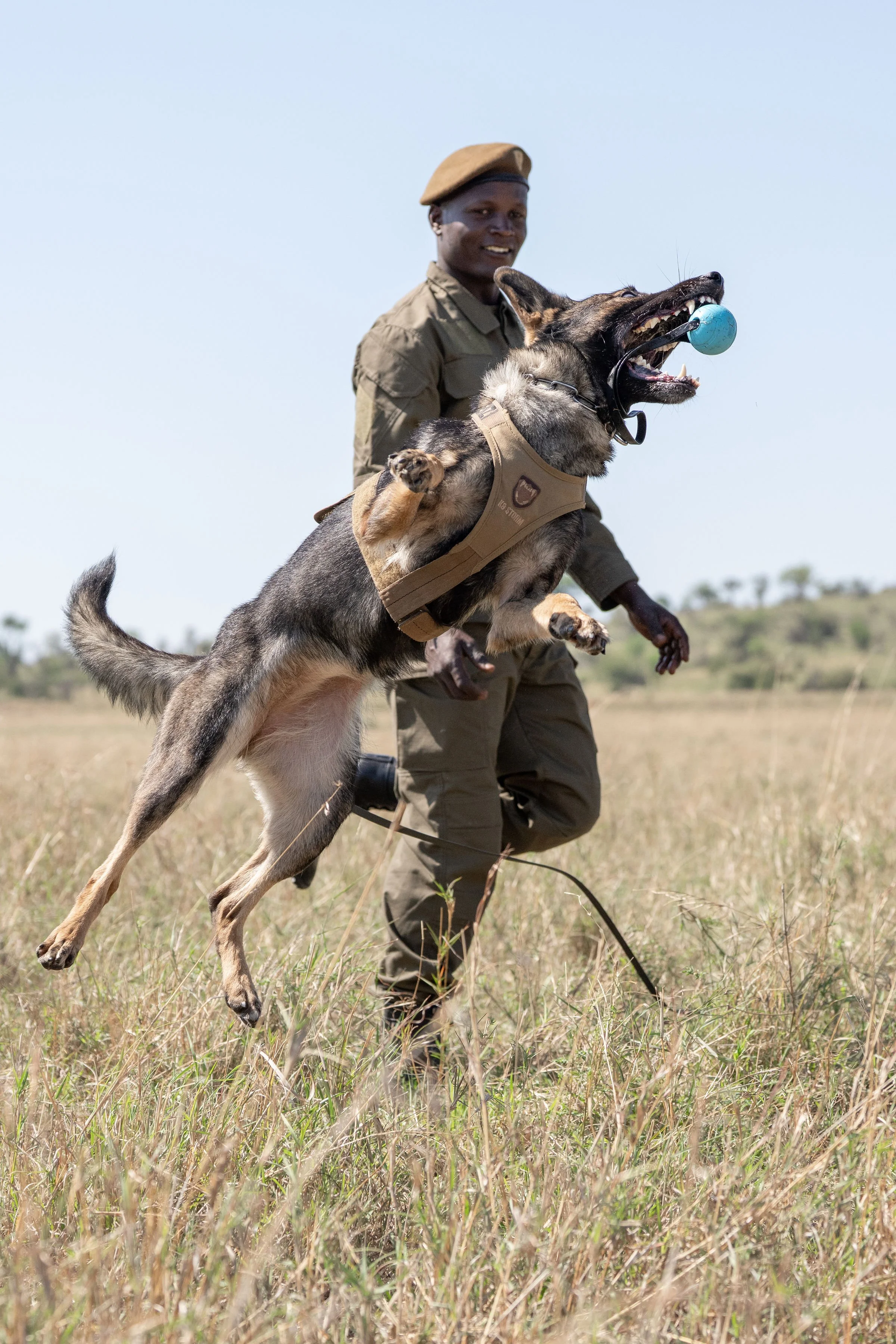 GrumetiReserve_GrumetiFund_K9Anti-PoachingScoutandDog_RossCouper_A1_00982.jpg