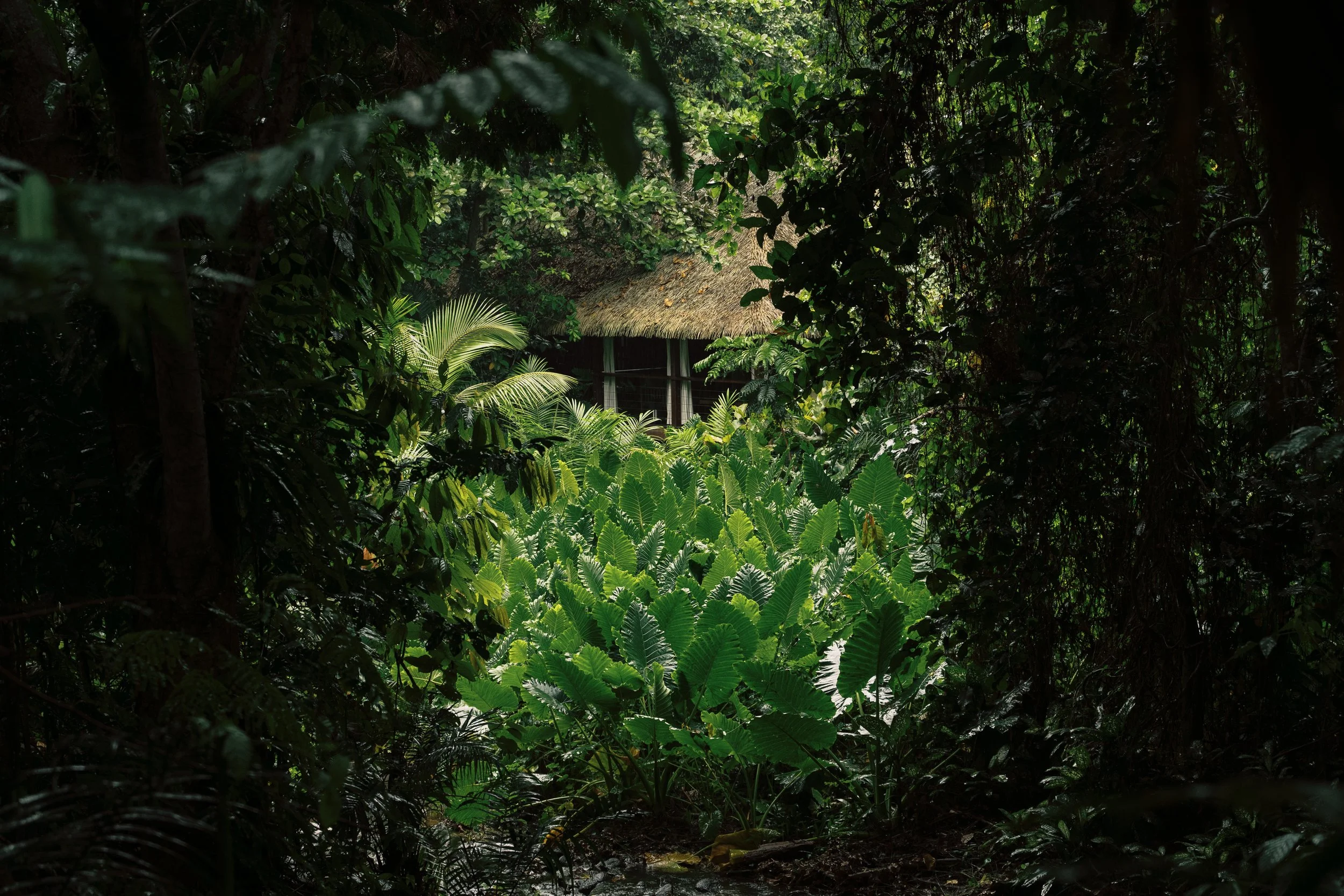 Osse Greca Sinare_P1040222.jpg