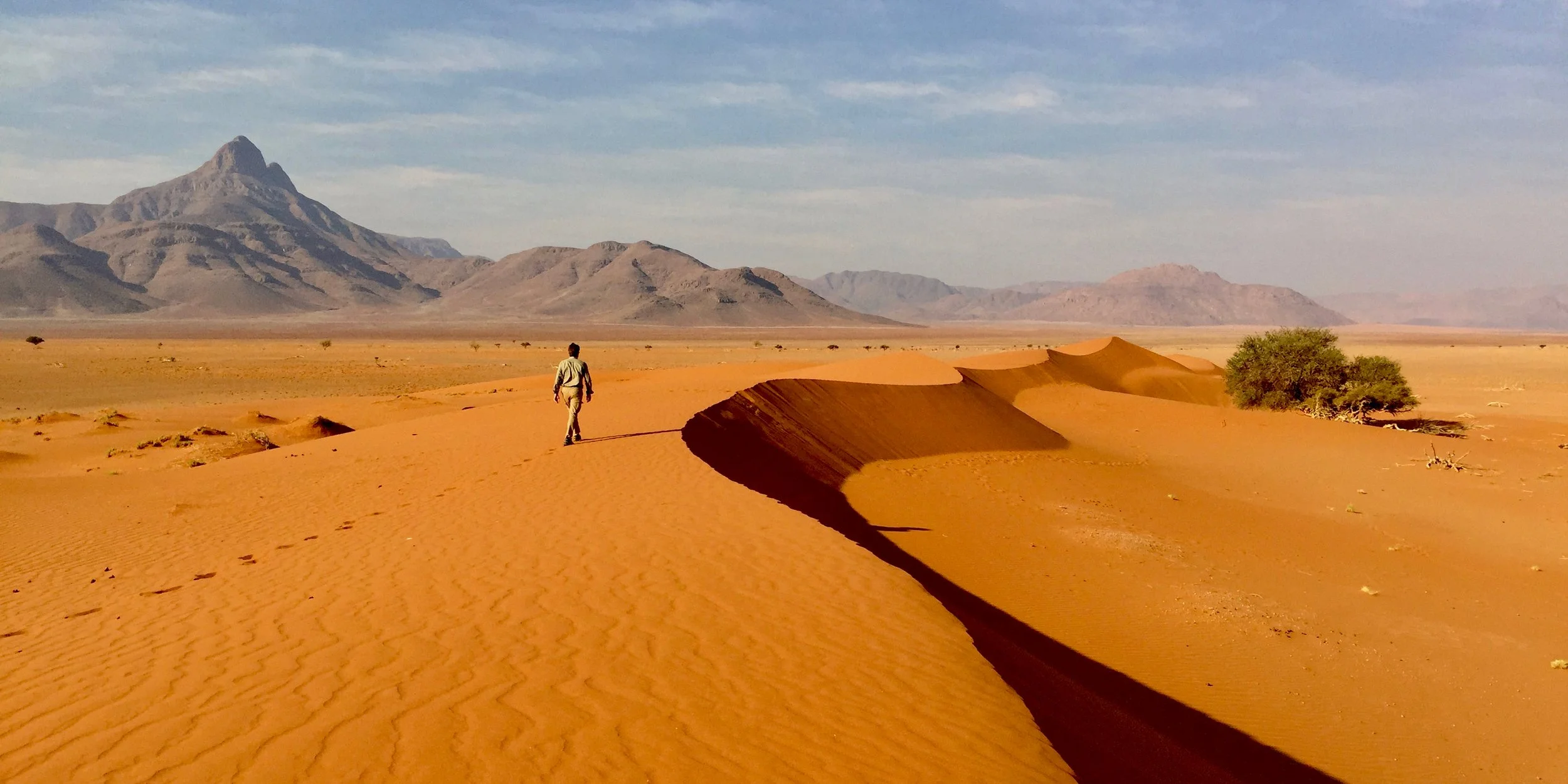 WOLWEDANS COLLECTION - Walking safaris -  Dune walking.jpg