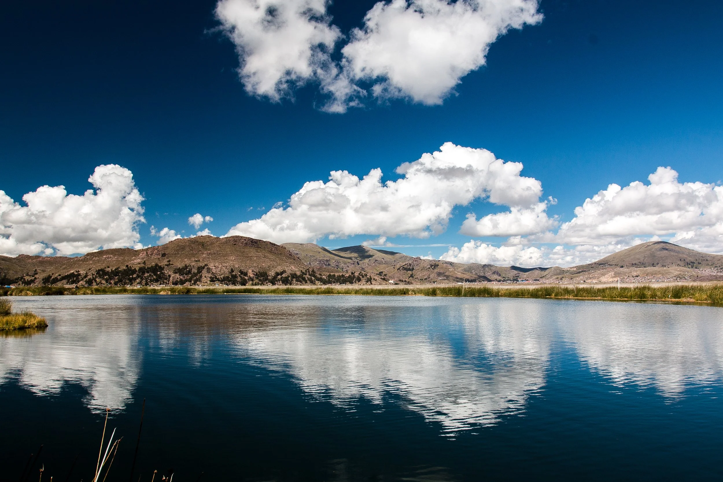 Mirror-still Lake Titicaca reflecting clouds and the surrounding Altiplano hills, totora reeds in the foreground
