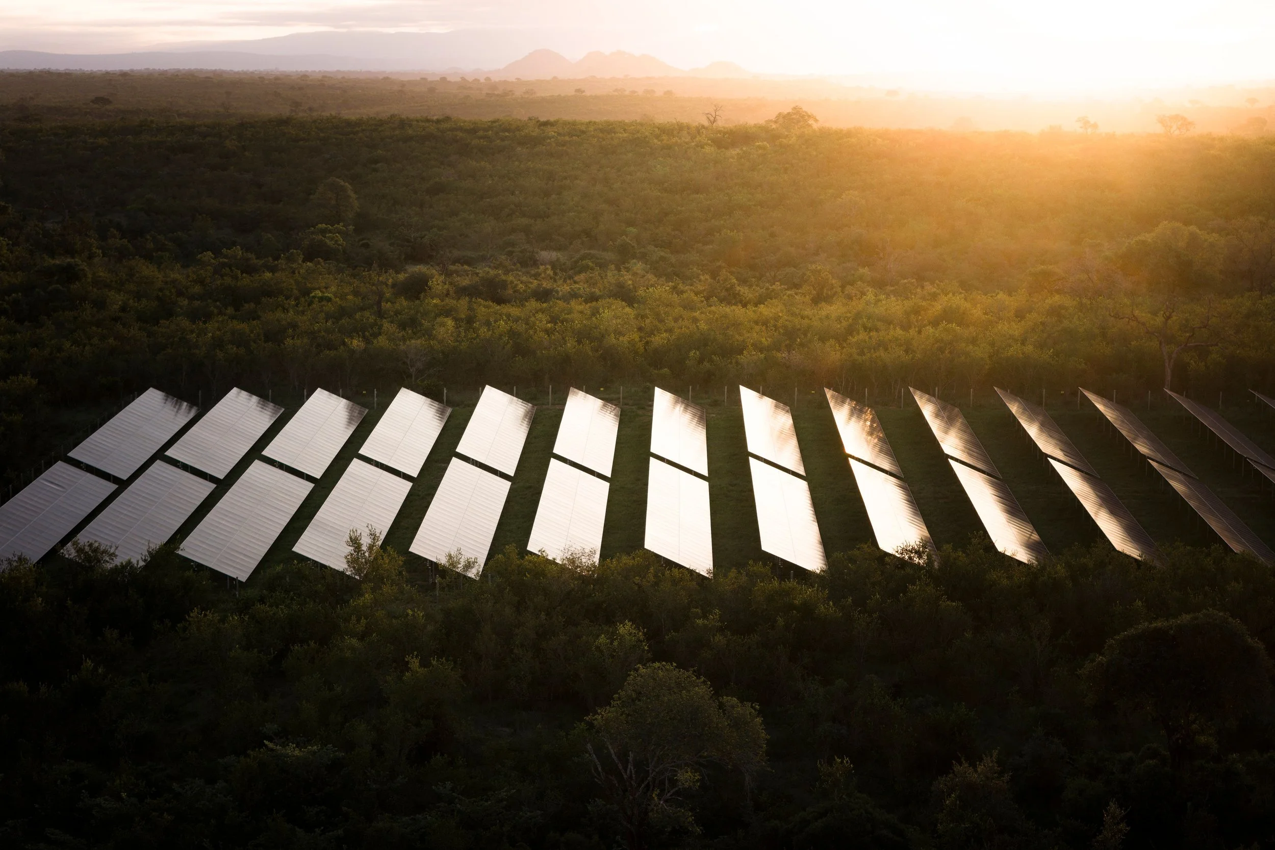 SabiSand_Conservation_SolarPanels_RossCouper_DJI_0055.jpg