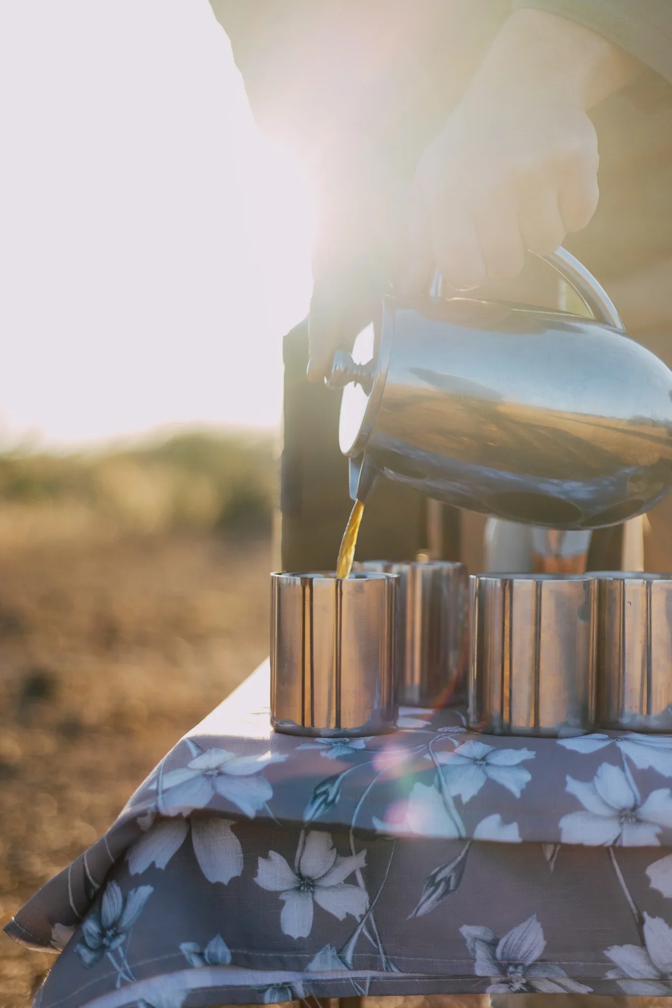 Sumptuous Tours pouring tea in golden light.webp