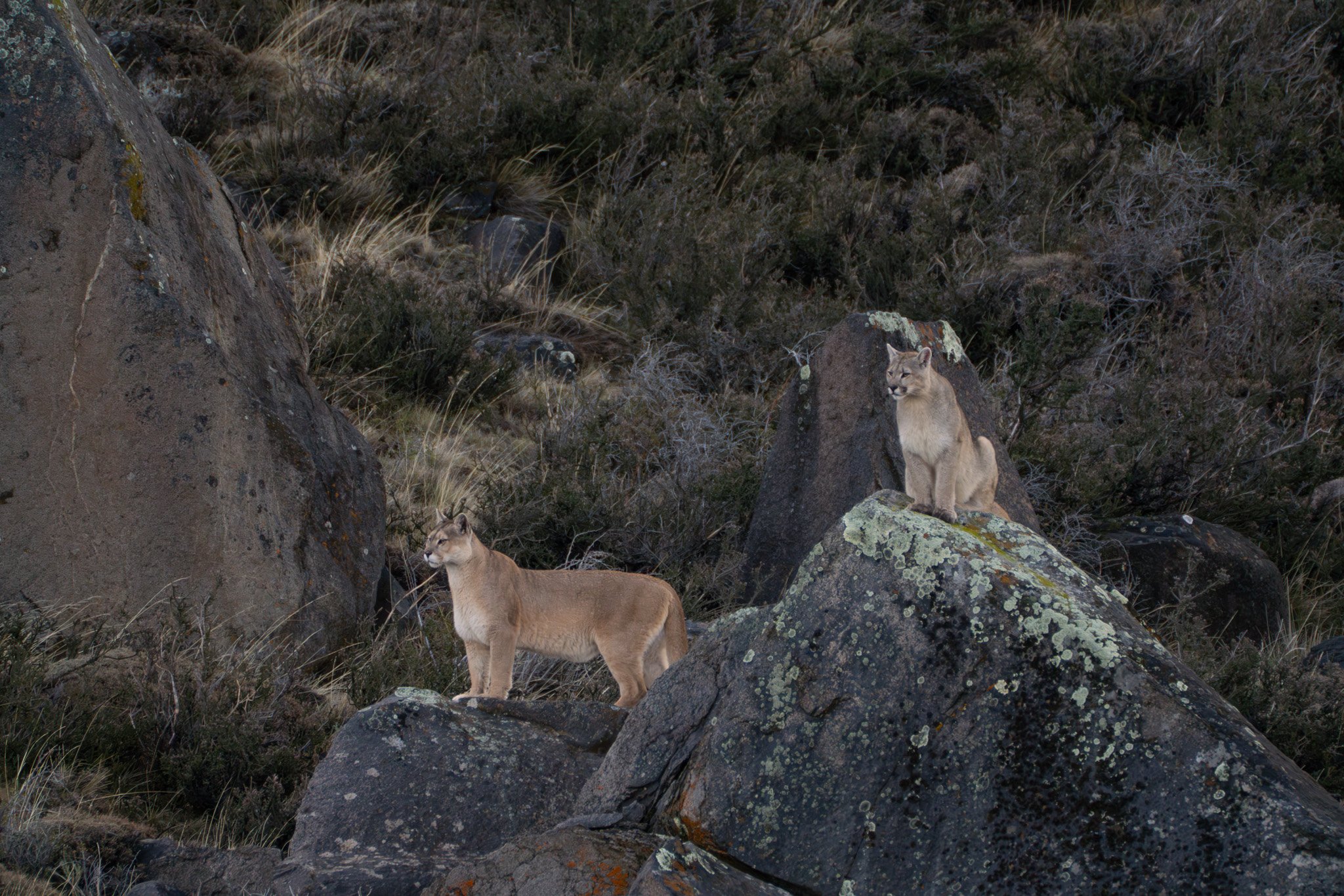 the_long_run_estancia-cerro-guido-24.jpg