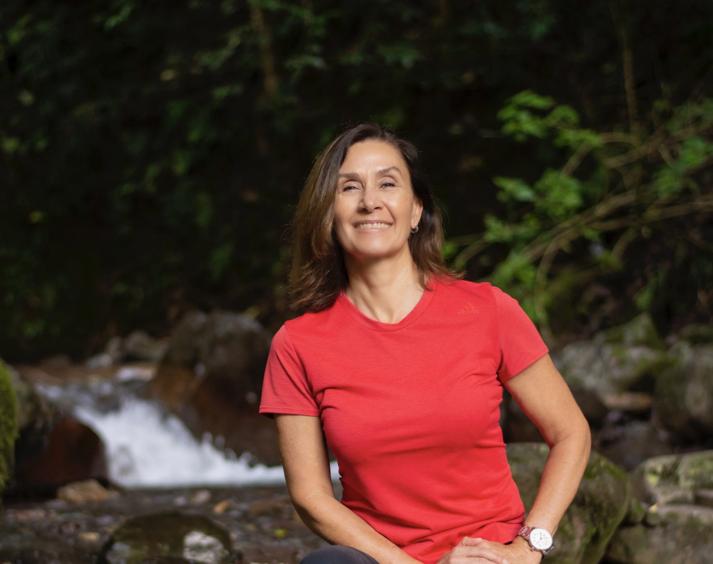 Ana Inés Figueroa Adentrando
