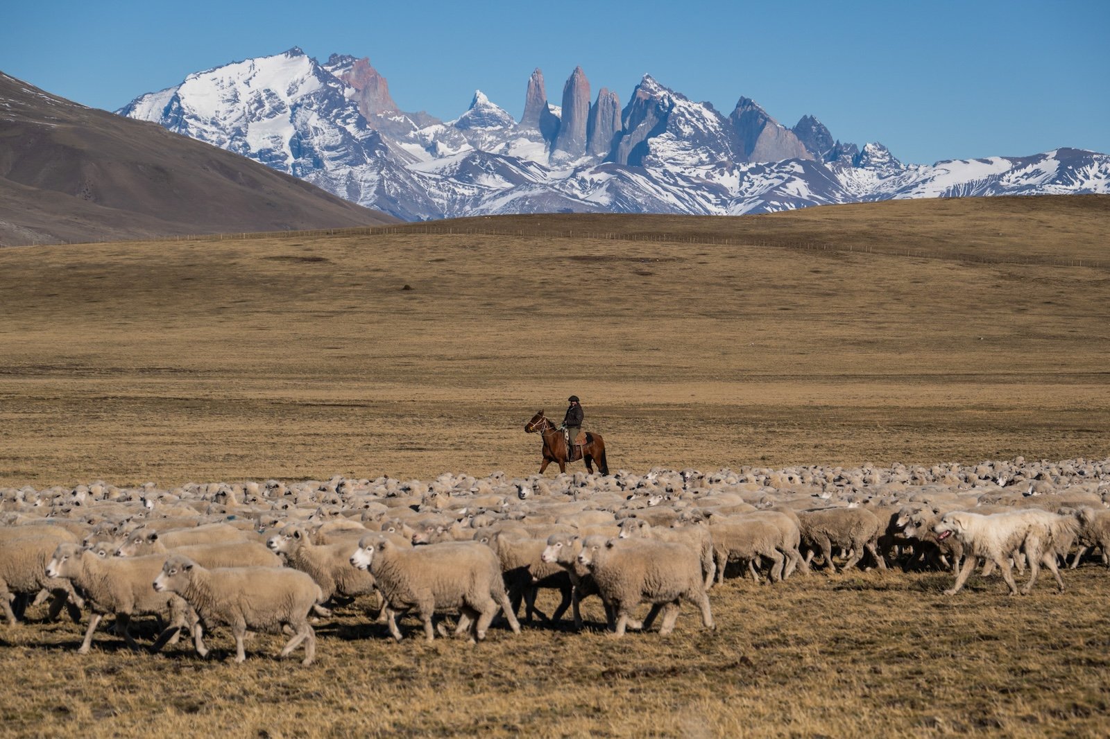 the_long_run_estancia-cerro-guido-14.jpg