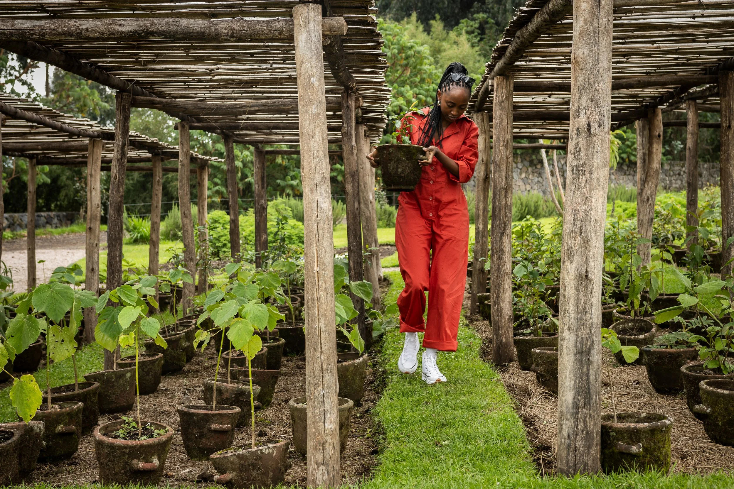 VolcanoesNationalPark_AkaraboNursery_EmmaJackson3.jpg
