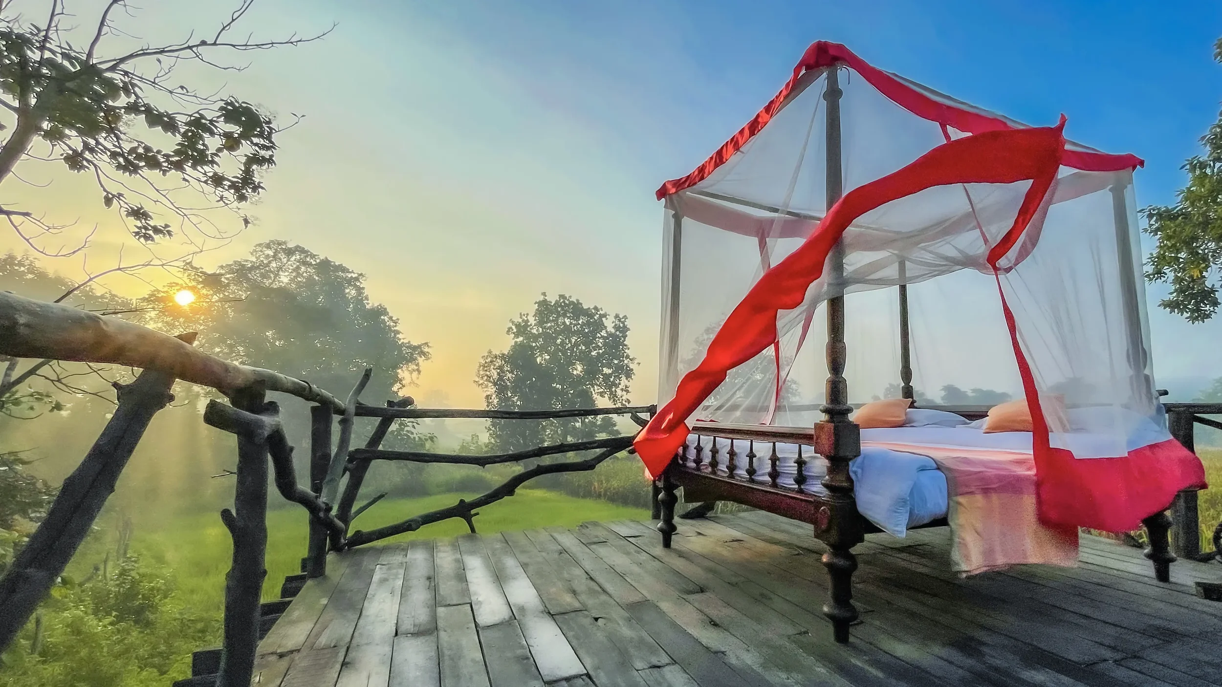 Jamtara Wilderness Camp 6.webp