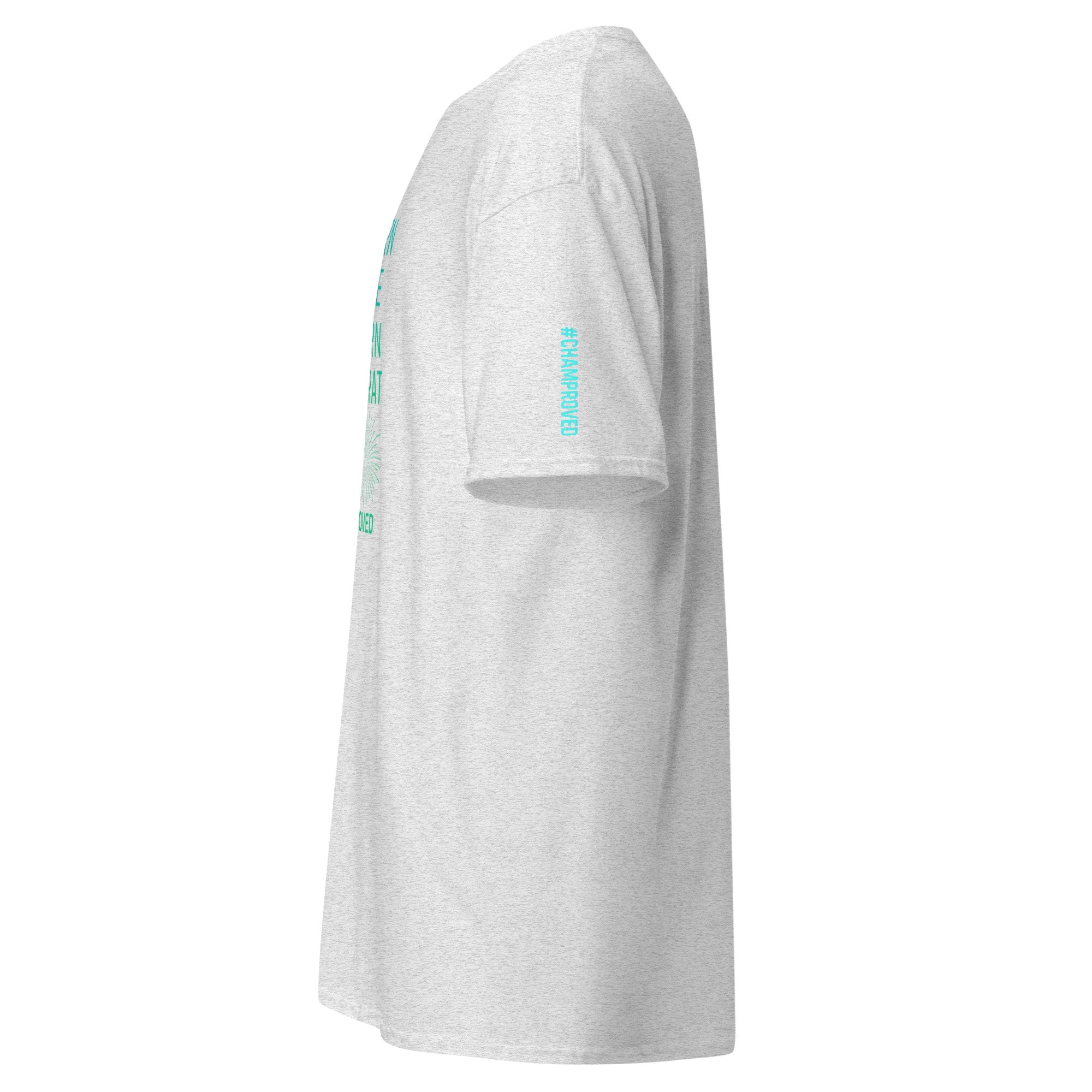 unisex-classic-tee-ash-left-68270cba4f9ca.jpg