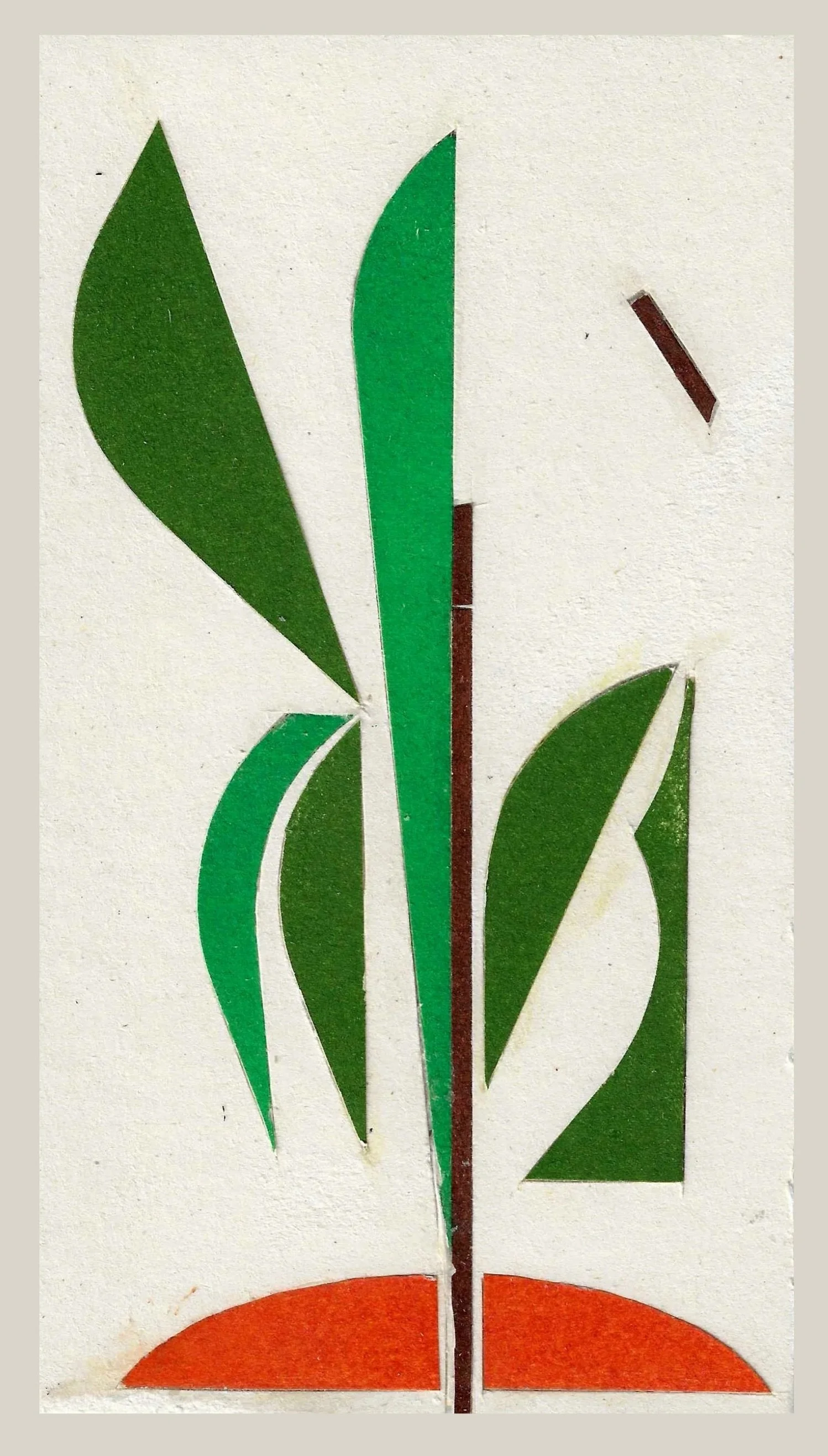 plant_ig.jpg