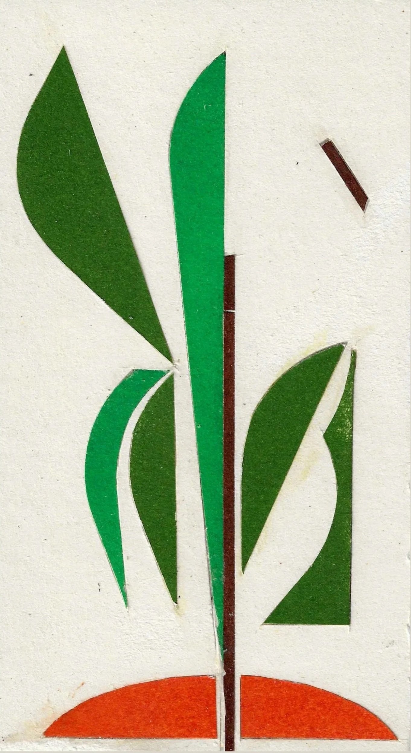 plant_ig.jpg