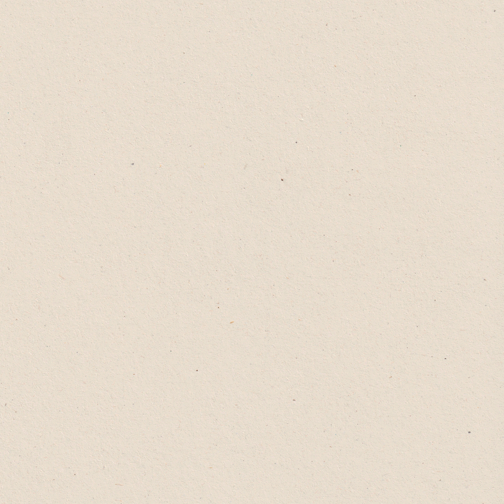 Illustration and Collage 2025/2026