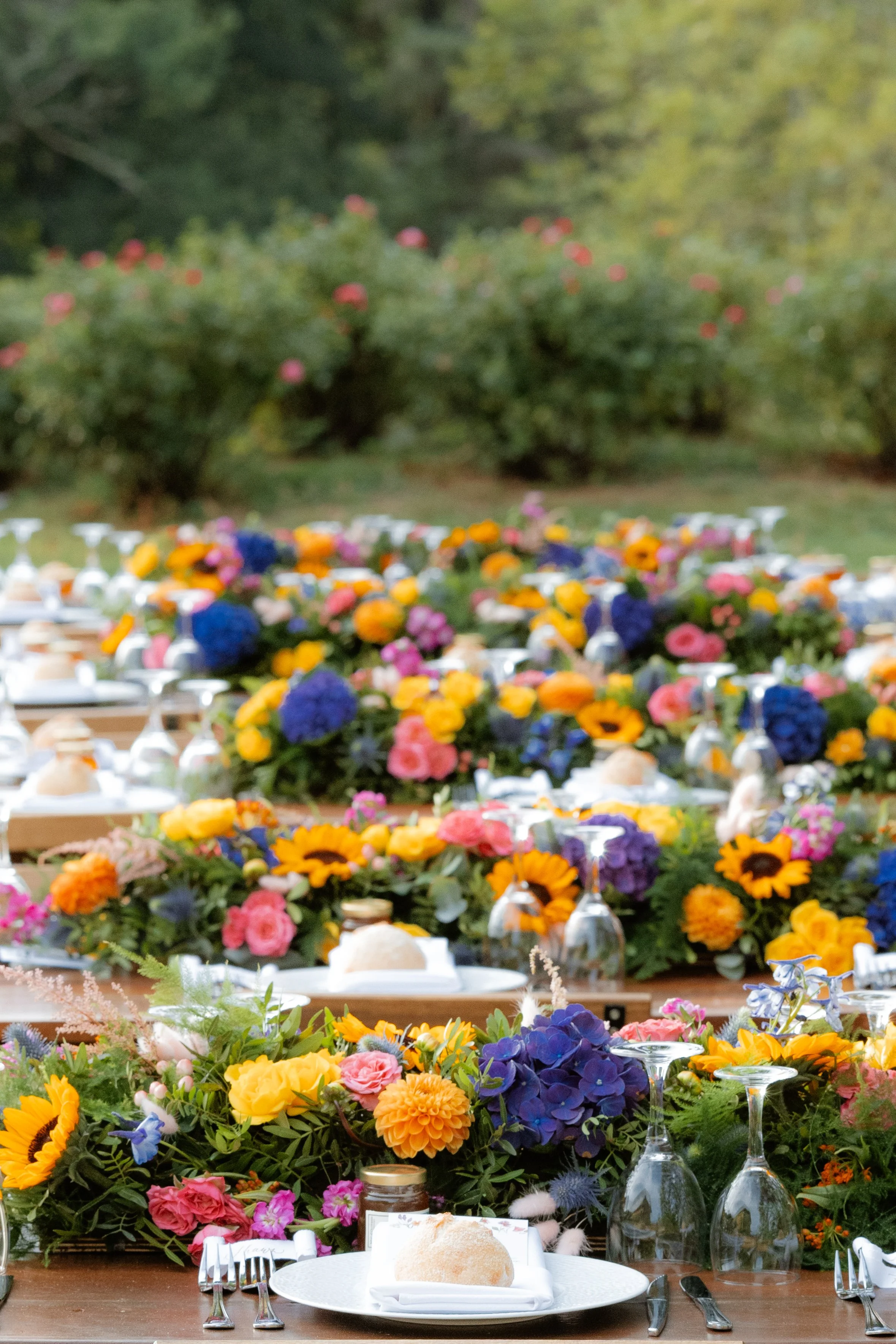 photographe de mariage wedding photographer couple elopement castres albi tarn toulouse occitanie south of France