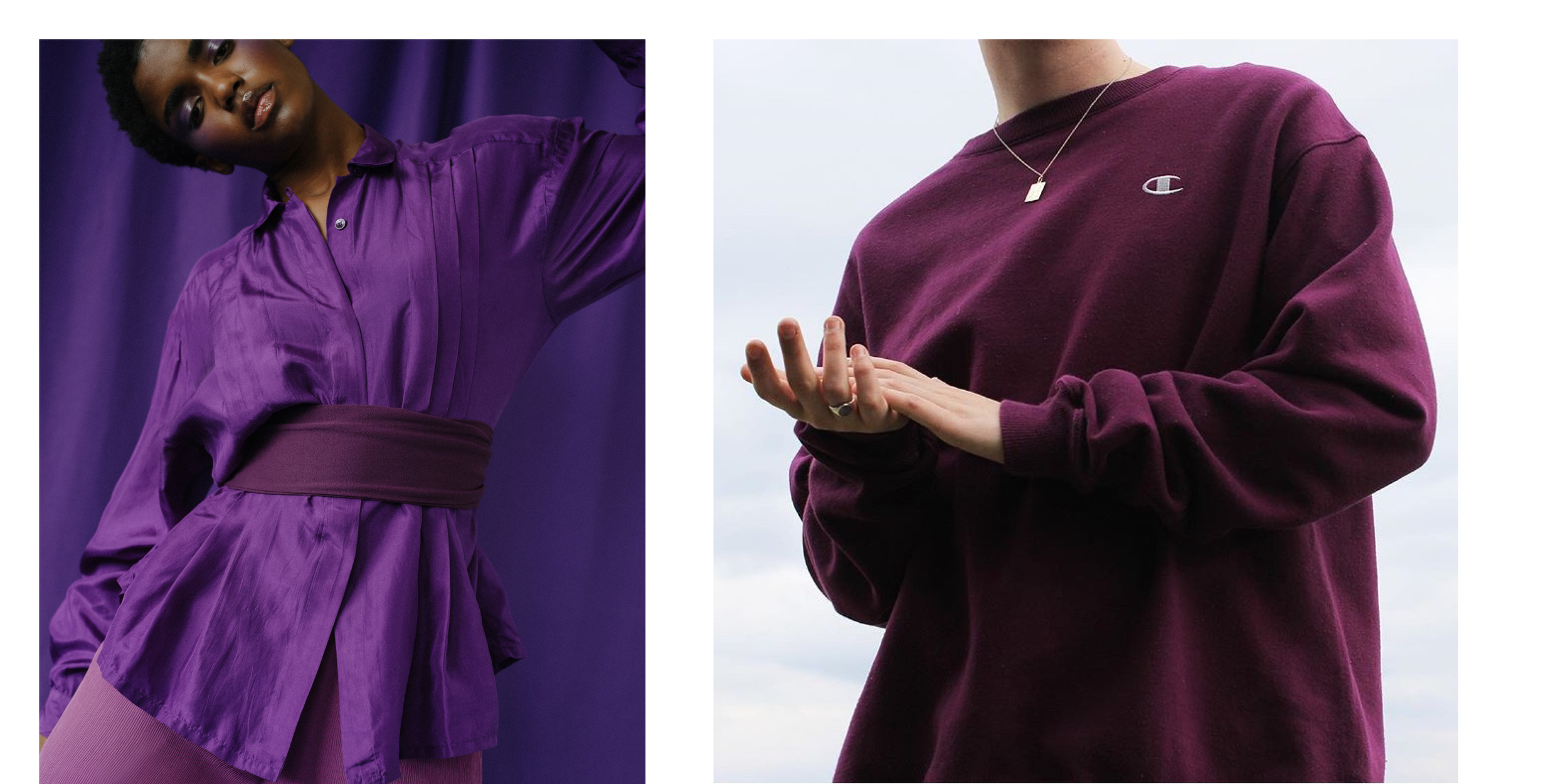 Color of the Year14.png