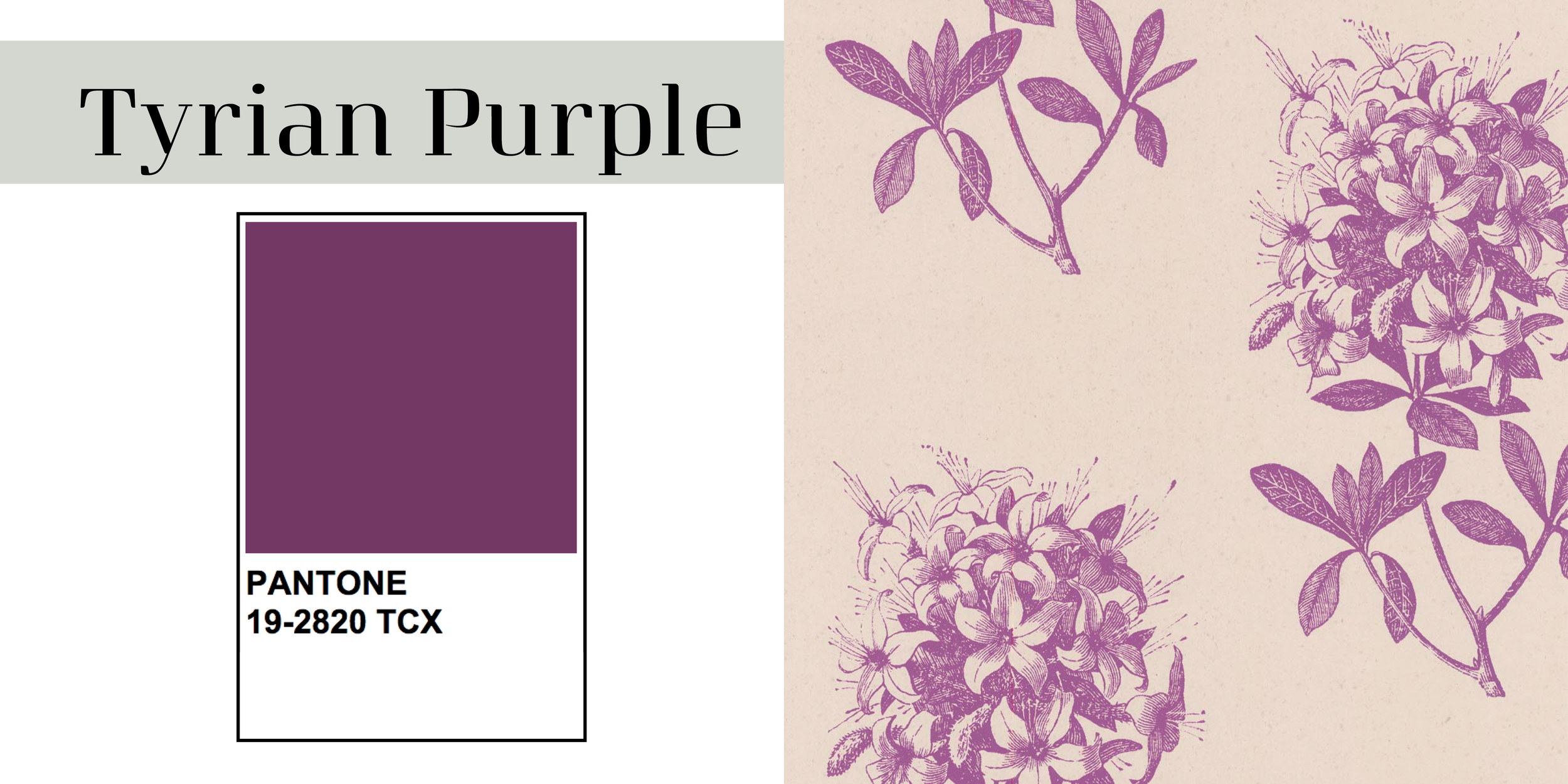 Color of the Year4.png