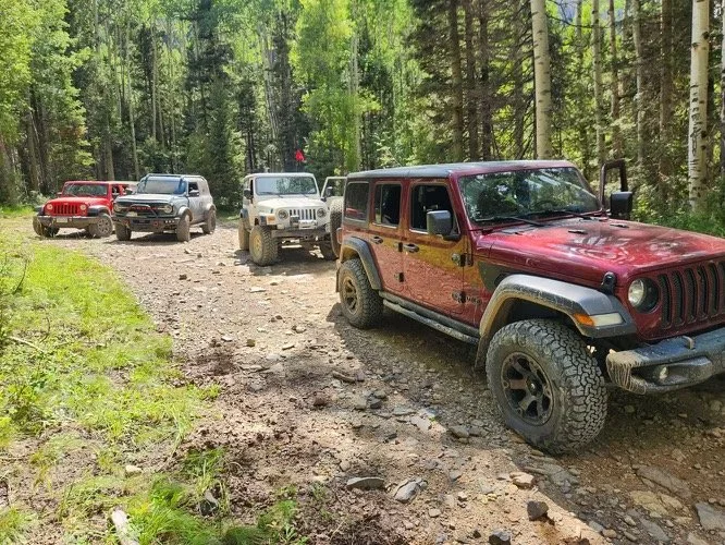 5-working group-sm.jpeg