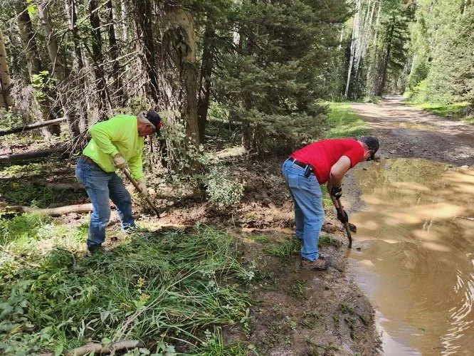 6-puddle draining-sm.jpeg