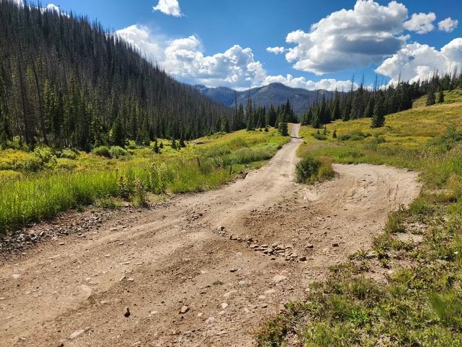 7-2022 work holding up well-sm.jpeg