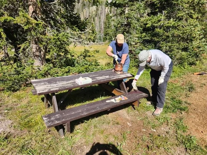 10-lower table-before-sm.jpeg