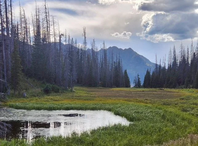 16-pond near upper table-sm.jpeg