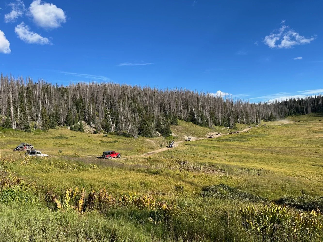 17-we are not alone-sm.jpeg