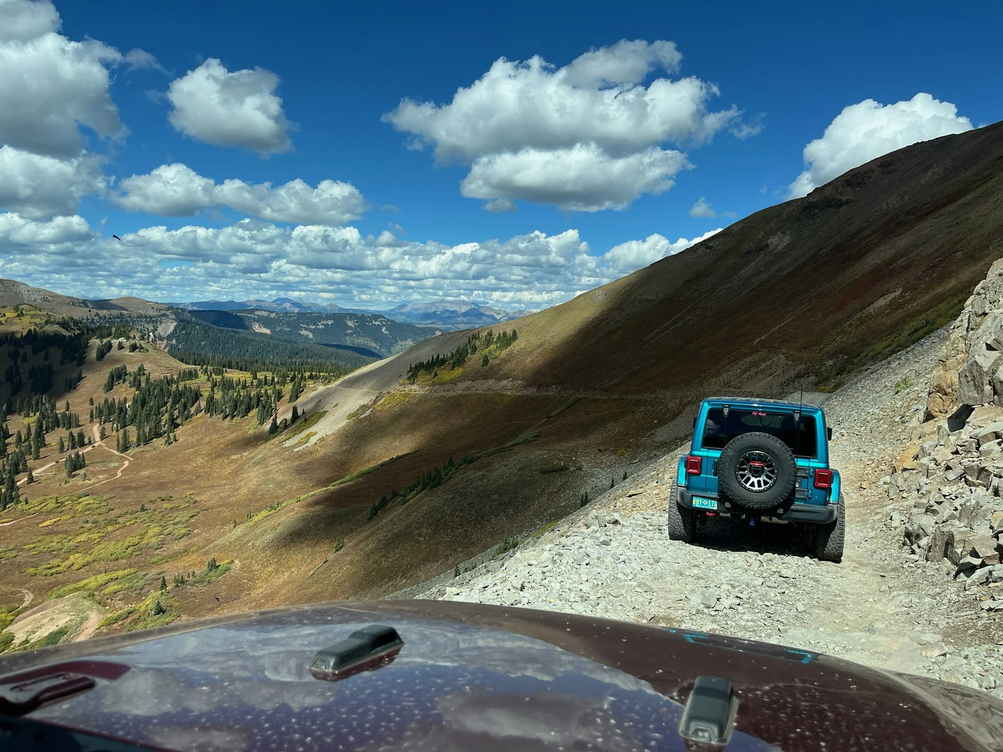 3624601834643788404 2.JPG