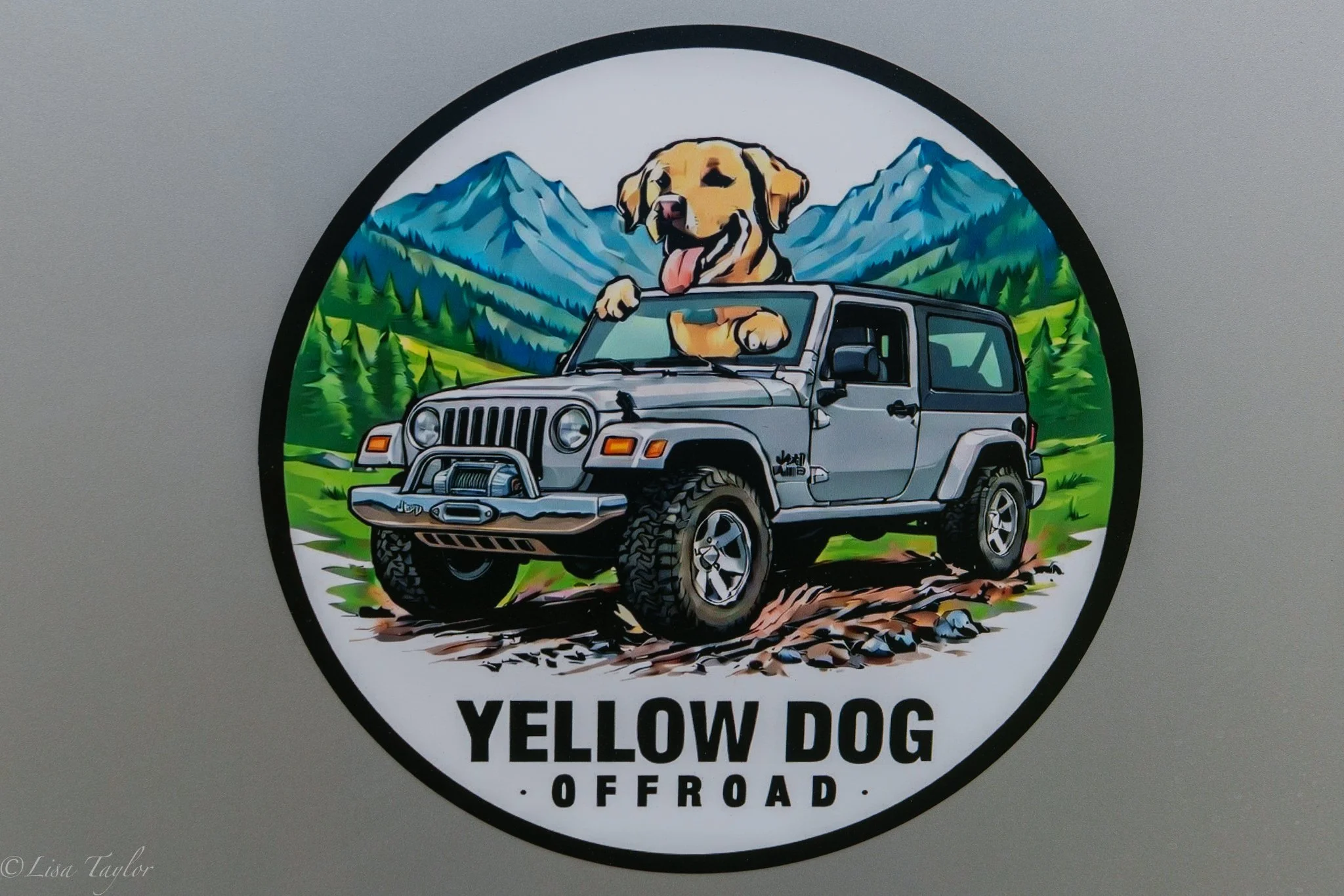 Yellow Dog Offroad Training