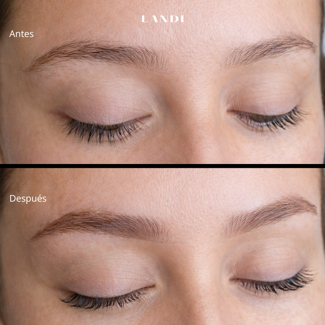 softbrows1.png (copia)