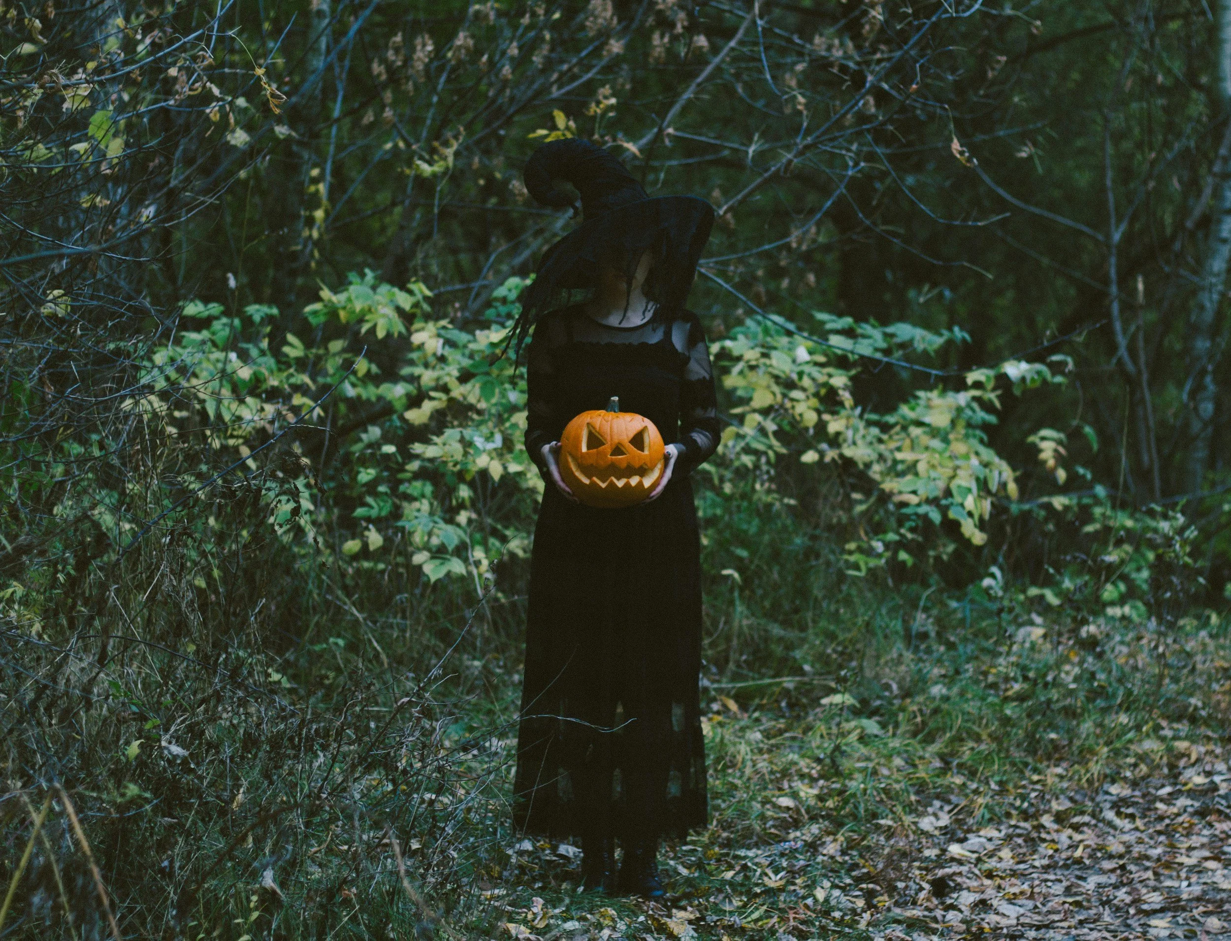 unsplash-image-dvCn0hCN1So.jpg