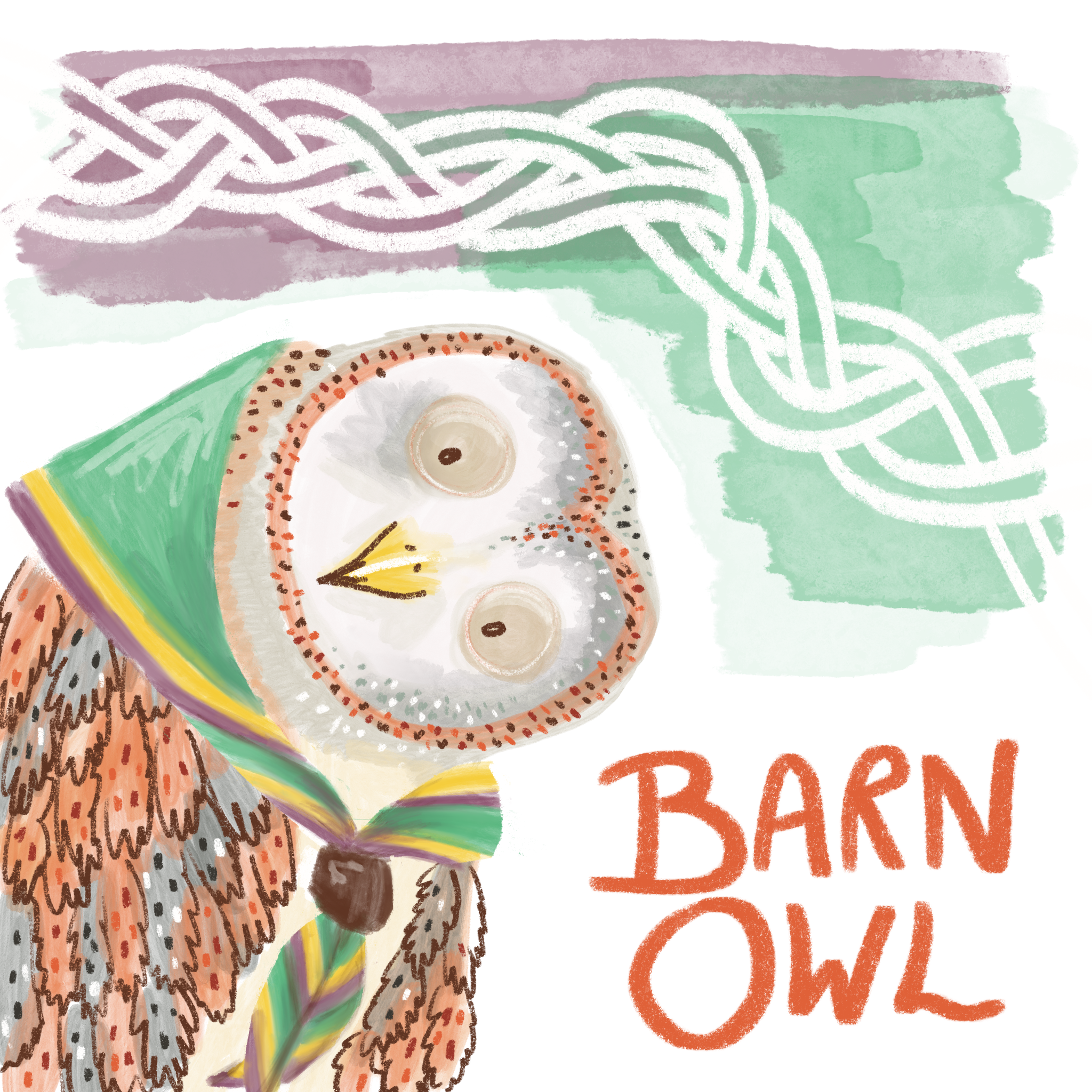 Portfolio Work by Felicity Wood  - Bird Collection - New work combining ornithology and Celtic art Barn Owl