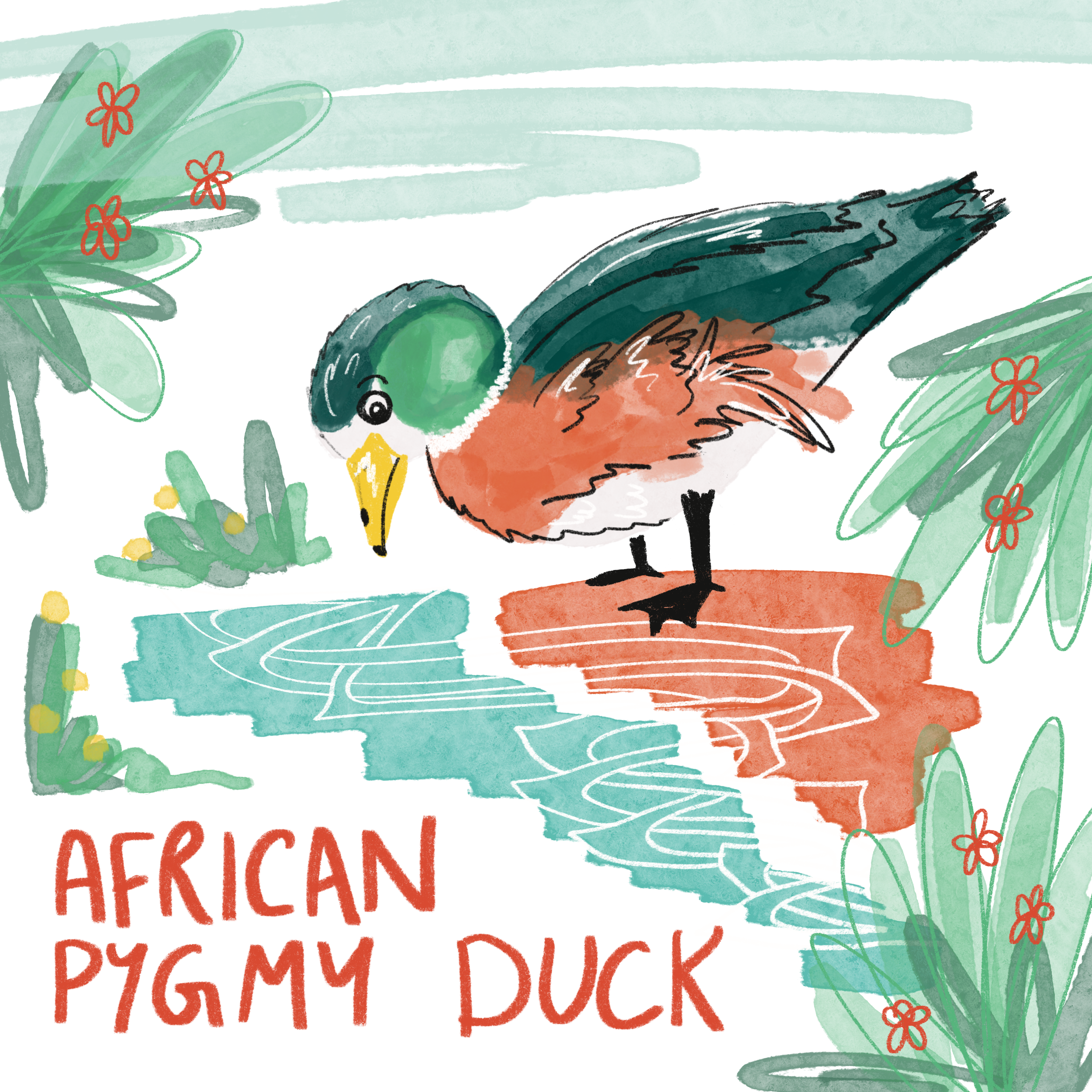 Portfolio Work by Felicity Wood  - Bird Collection - New work combining ornithology and Celtic art Duck