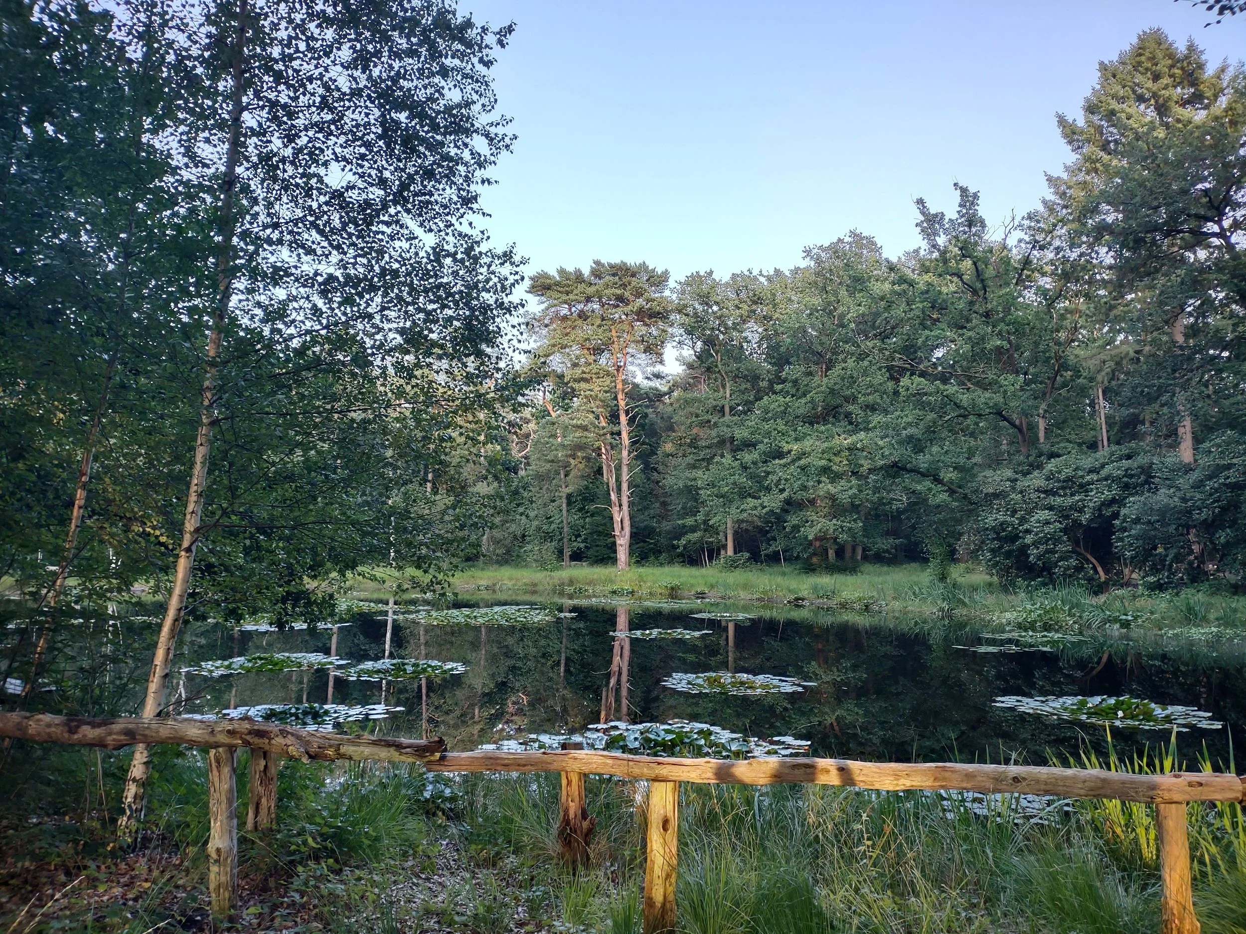 IMG_20220818_194621308_HDR.jpg