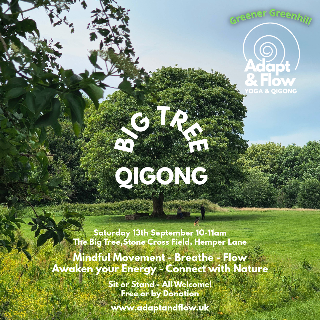 Big Tree Qigong with Greener in Greenhill