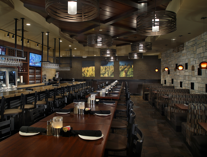 coopers hawk_international orlando fl-03.png