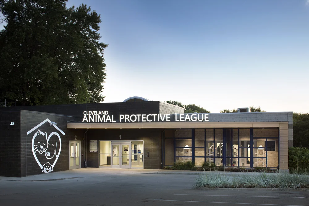 Cleveland Animal Protective League — Onyx Creative