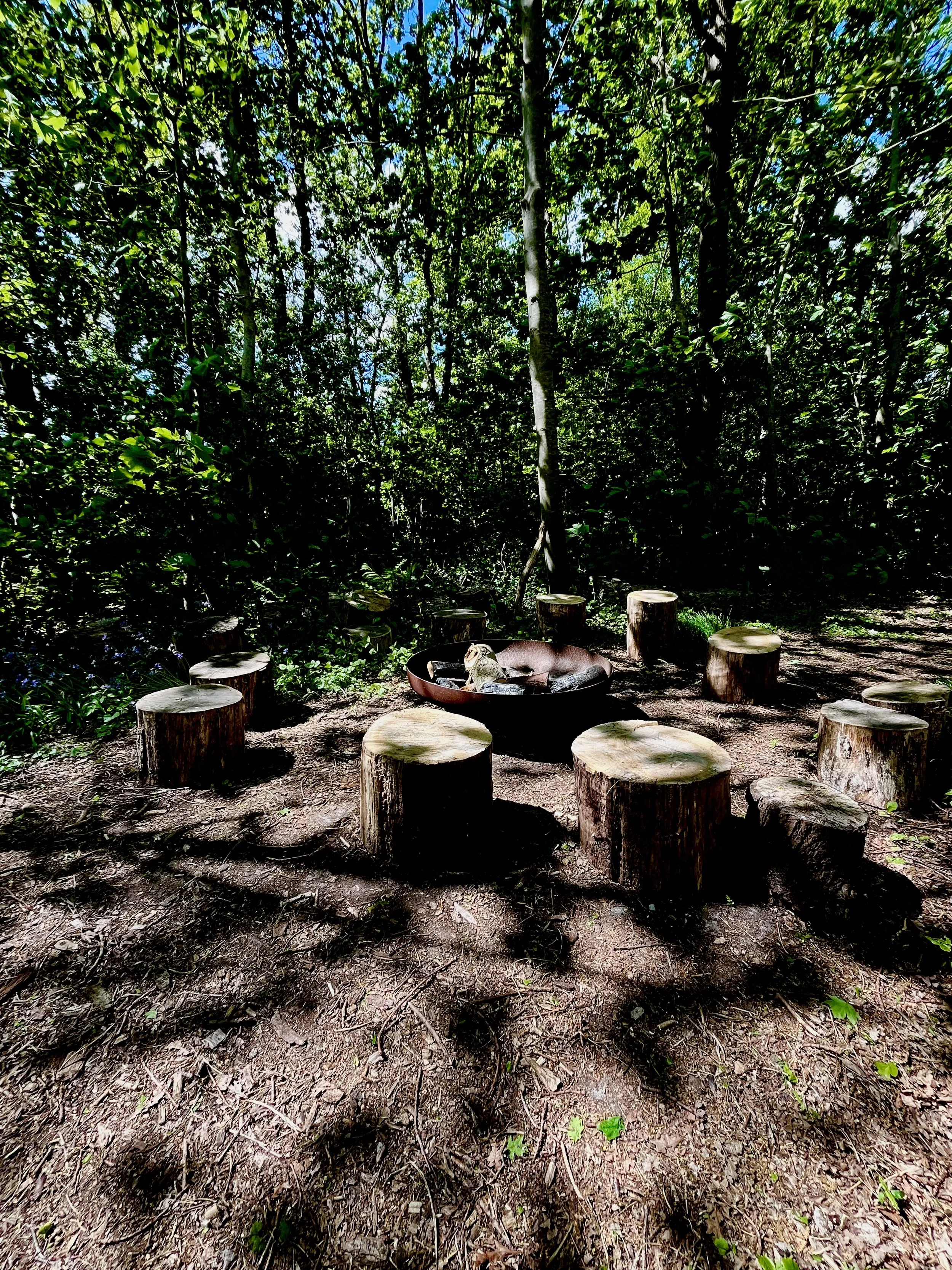 houten schijven in de natuur met een vuurschaal