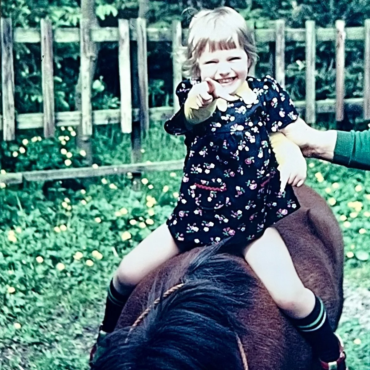 coaching met paarden