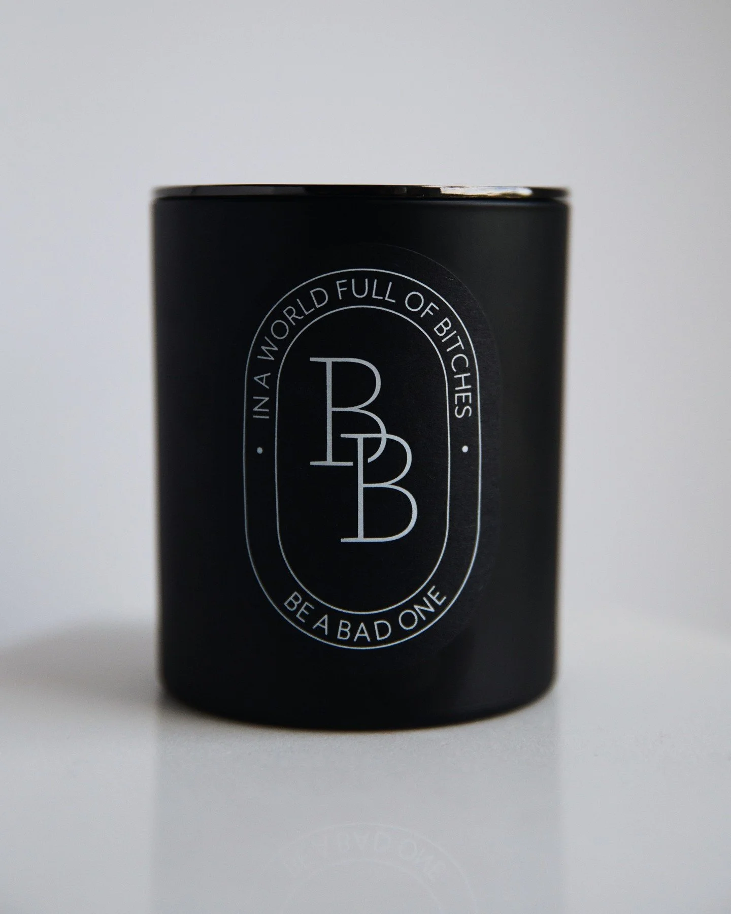 It&rsquo;s not just a candle.⁠
⁠
It&rsquo;s the mood, the message, and the energy all in one.⁠
⁠
&ldquo;In a World Full of Bitches&rdquo; candle light it and let it speak for itself. ⁠
⁠
⁠
📸 @rxcheldenise // @messithoughtscreative