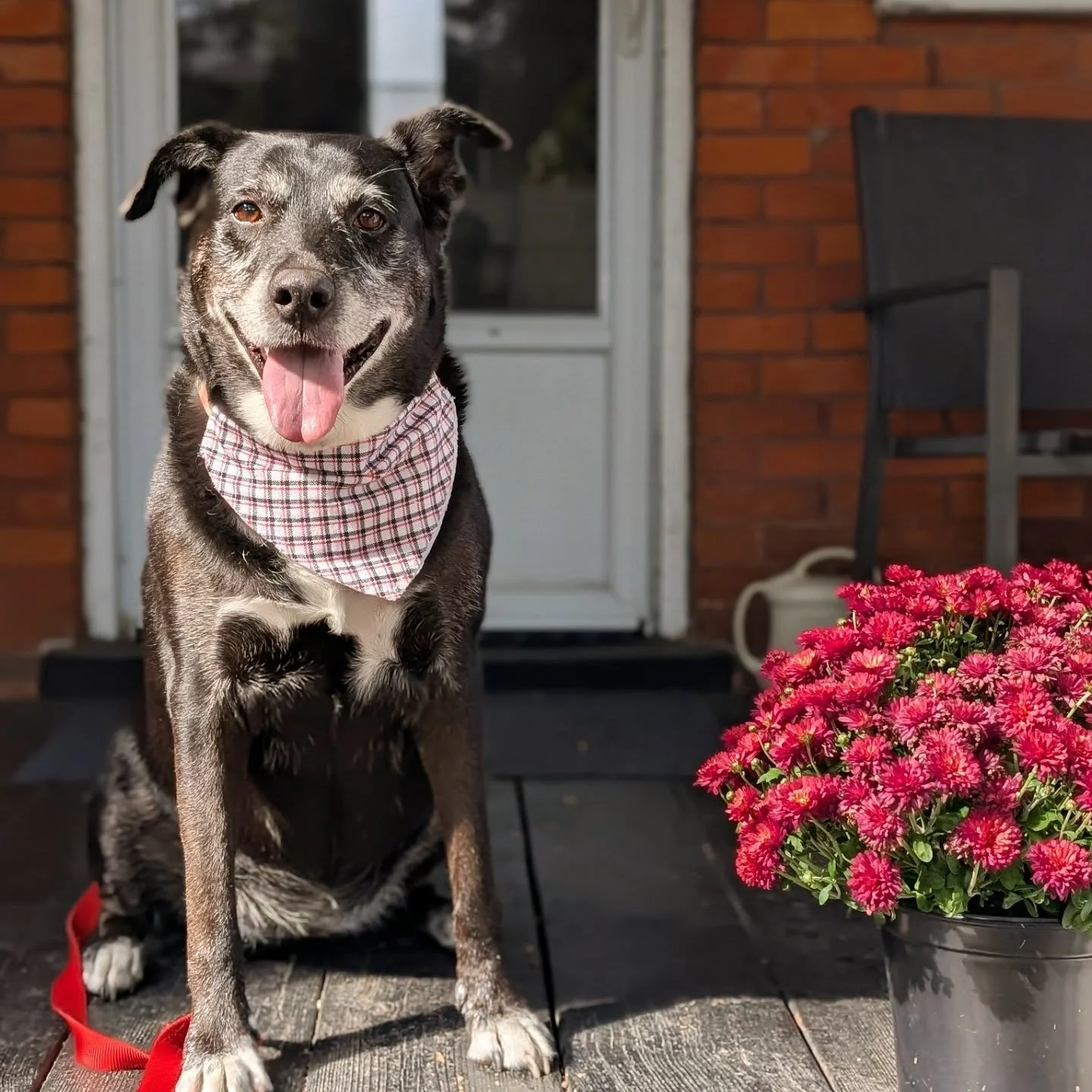 We're so thankful every single day for your support 💛🍂 For the amazing people we've met through this journey. For our wonderful customers, near and far. Within Canada, and abroad. The conversations we have shared together and the things we have lea