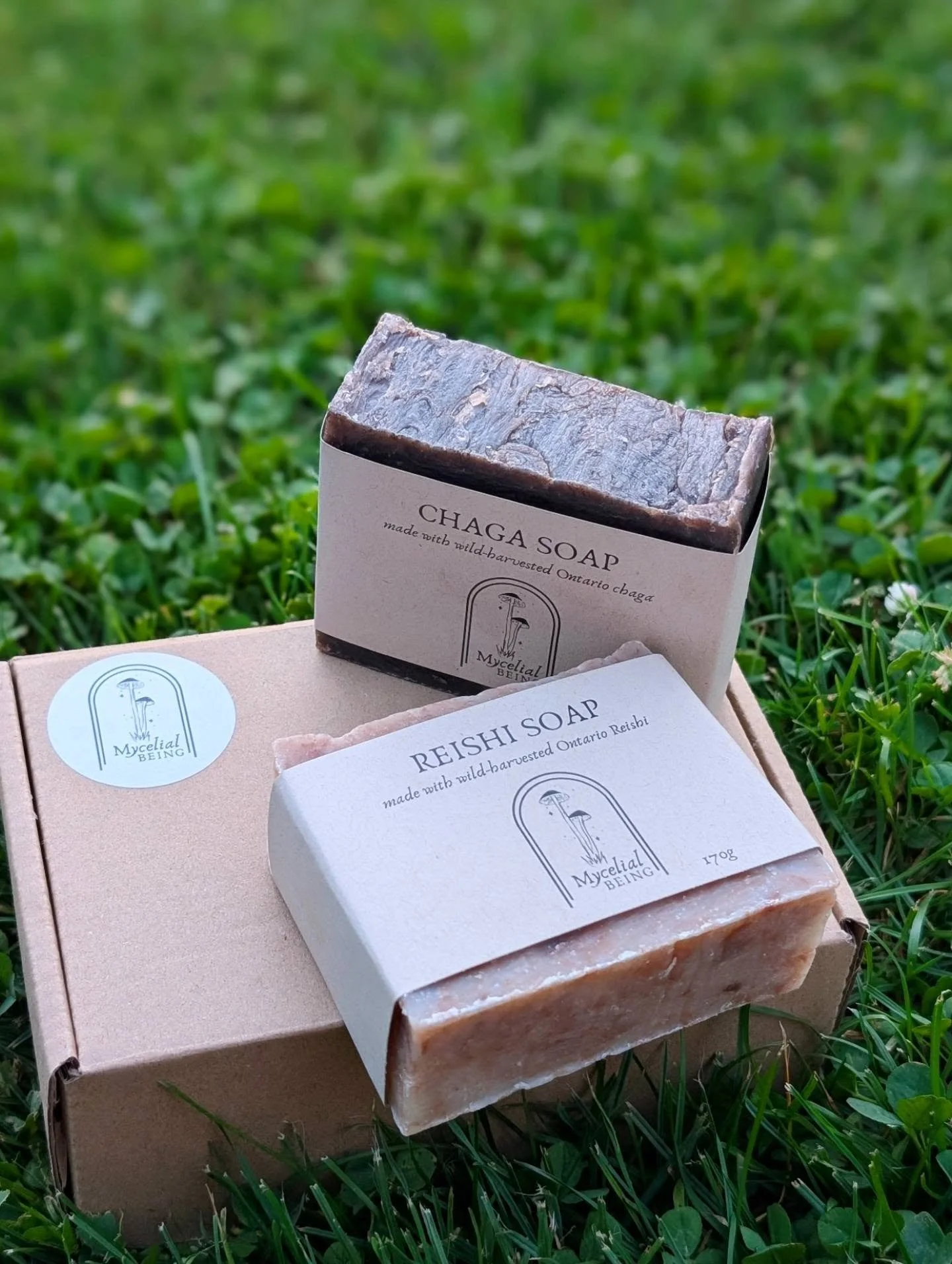 Our friend @mycelialbeing is celebrating her website launch this week! Our order arrived and we're feeling spoiled with all of the tiny details paired with a handwritten heartfelt note.  The Chaga and Reishi soaps smell incredible! Swipe to find the 